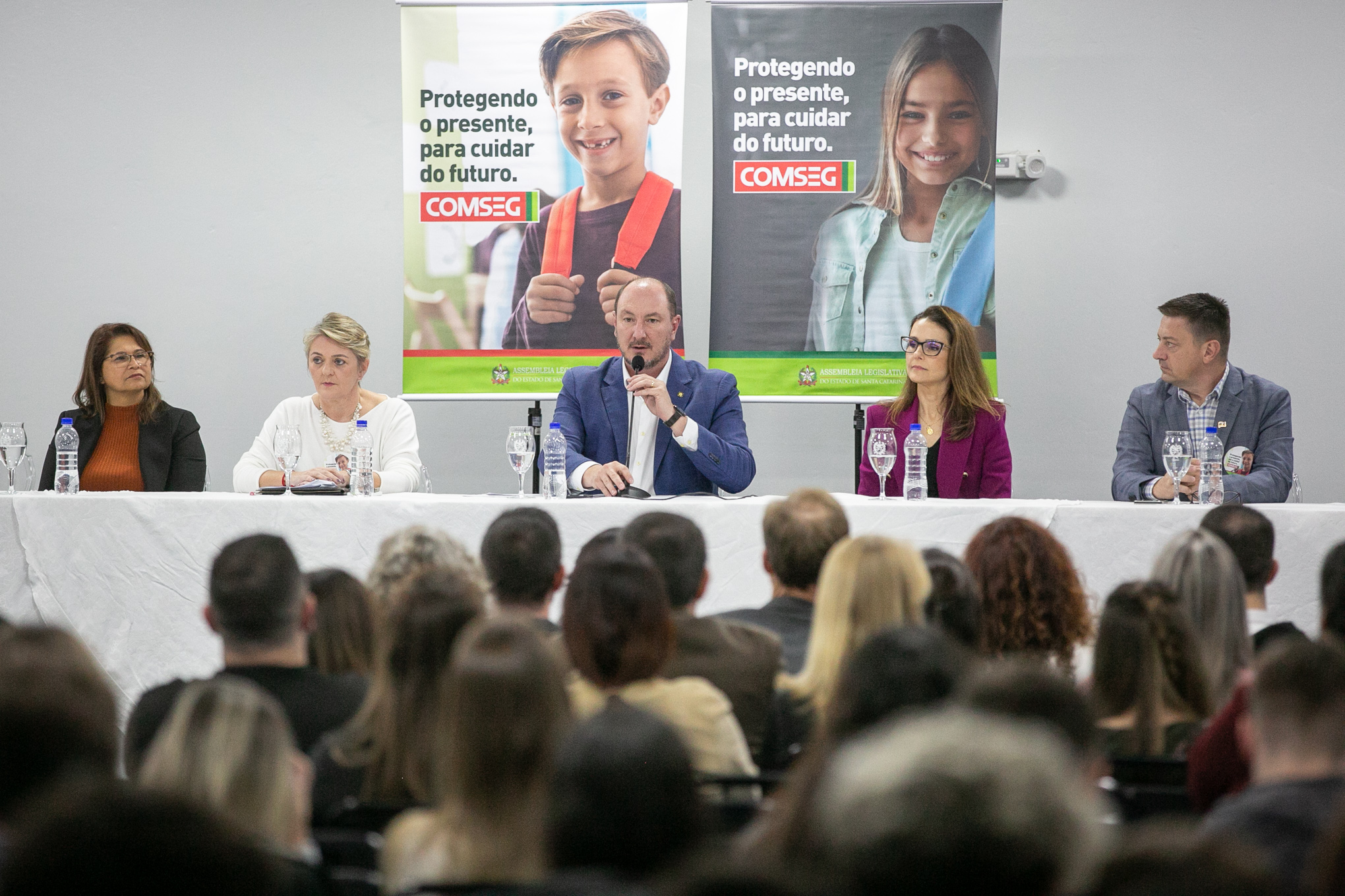 - Deputada Luciane Carminatti (PT) 		
 - Deputado Mauro de Nadal (MDB)