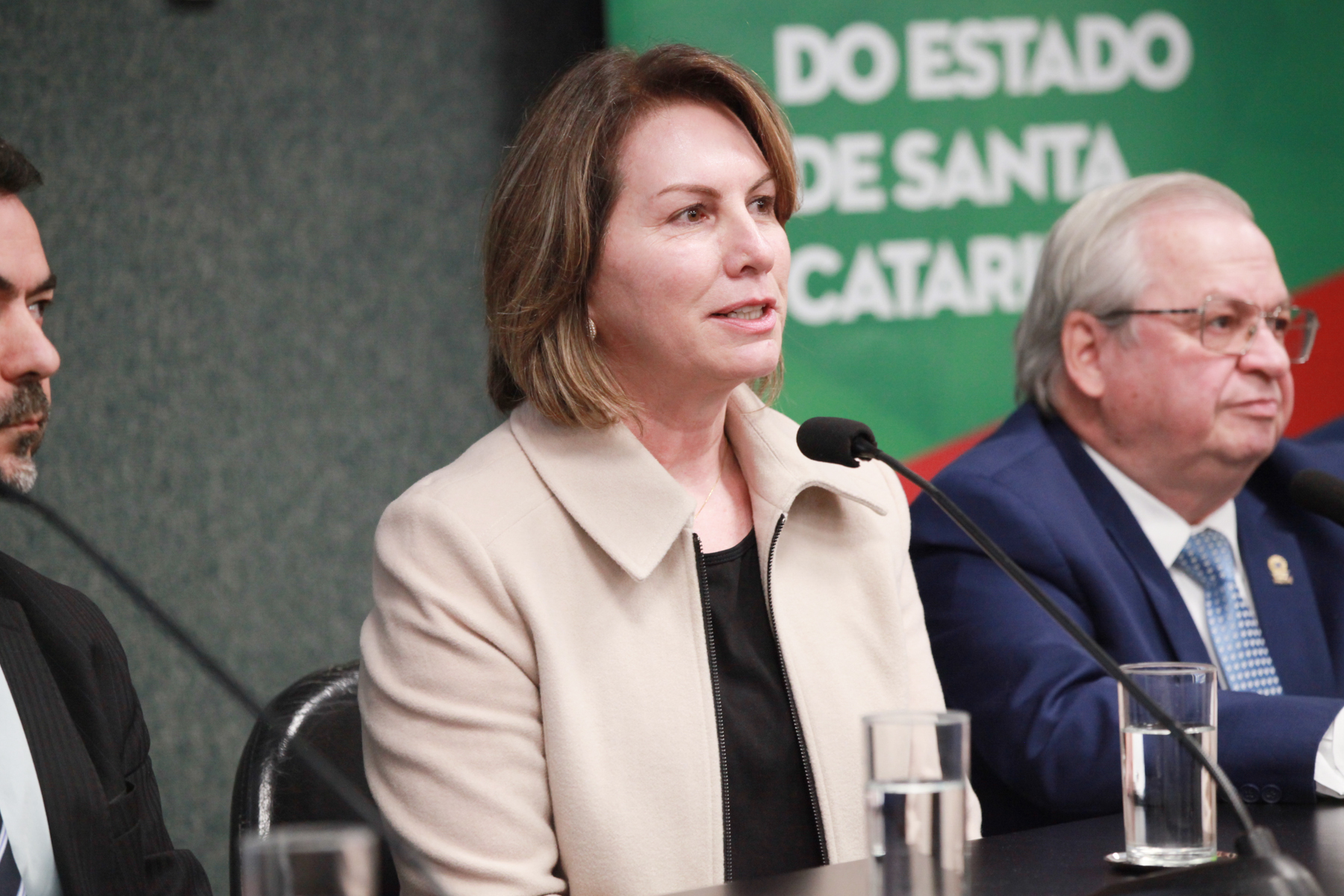 Seminário Estadual de Políticas Sobre Drogas: Desafios e Oportunidades - Rosely Aparecida (Febracet)