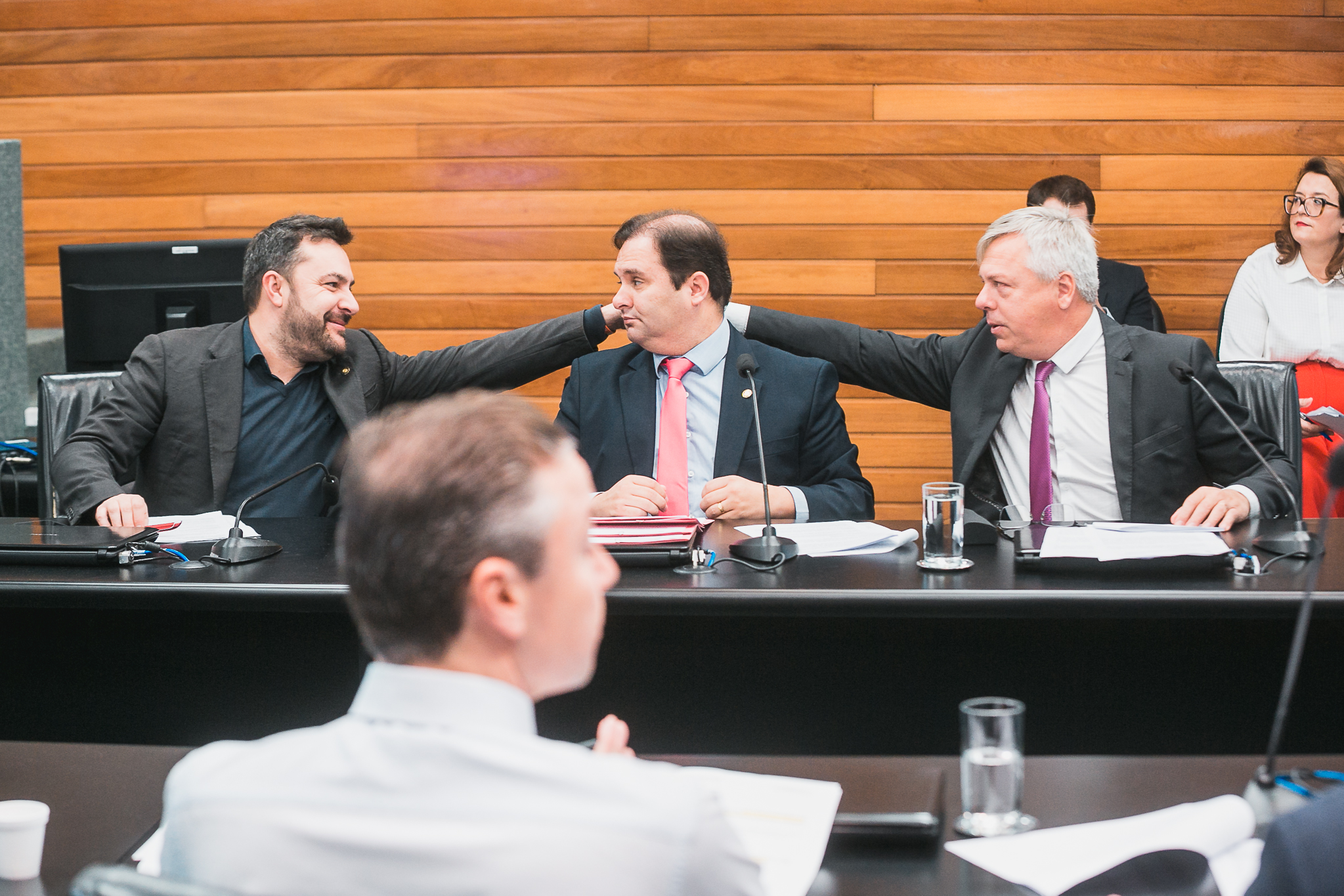 Comissão de Constituição e Justiça