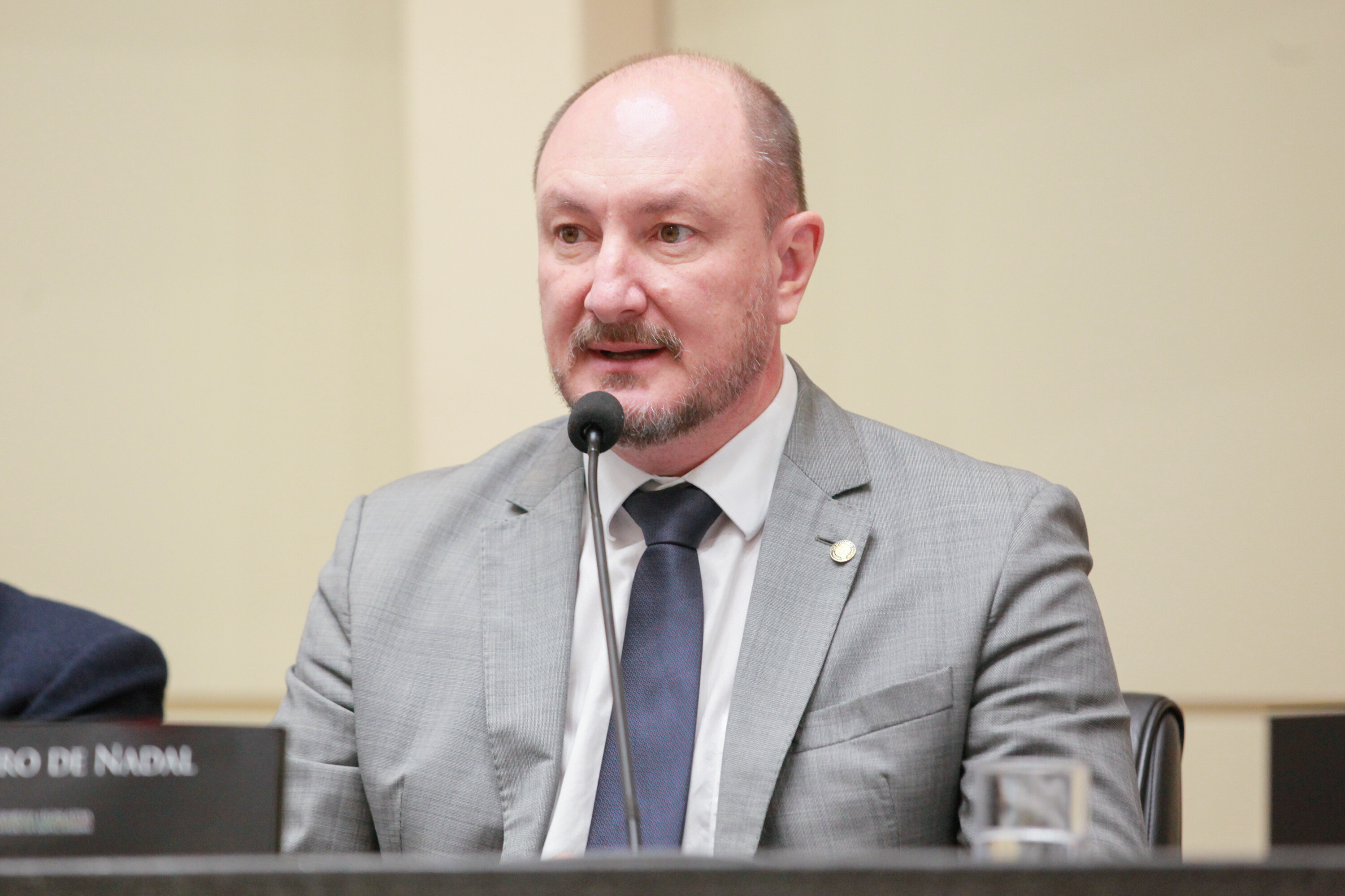 Deputado Mauro de Nadal, presidente da Casa