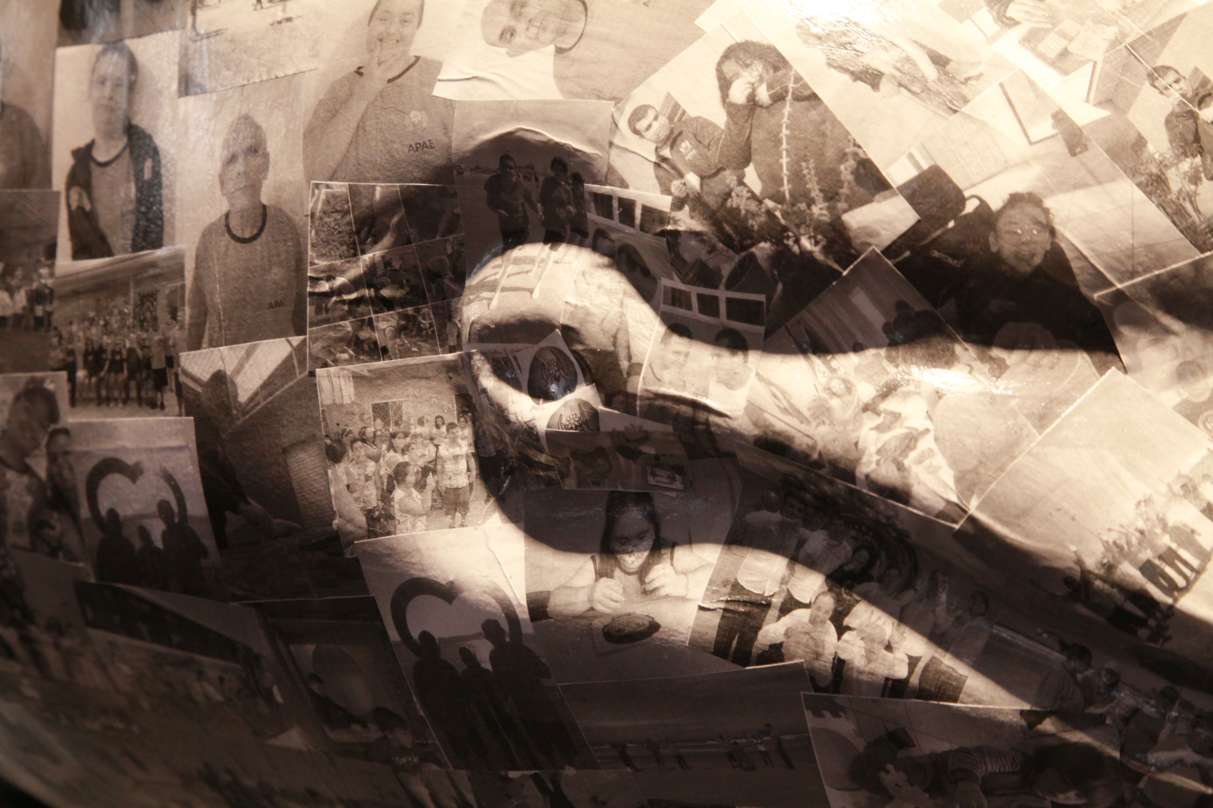 Mostra institucional 