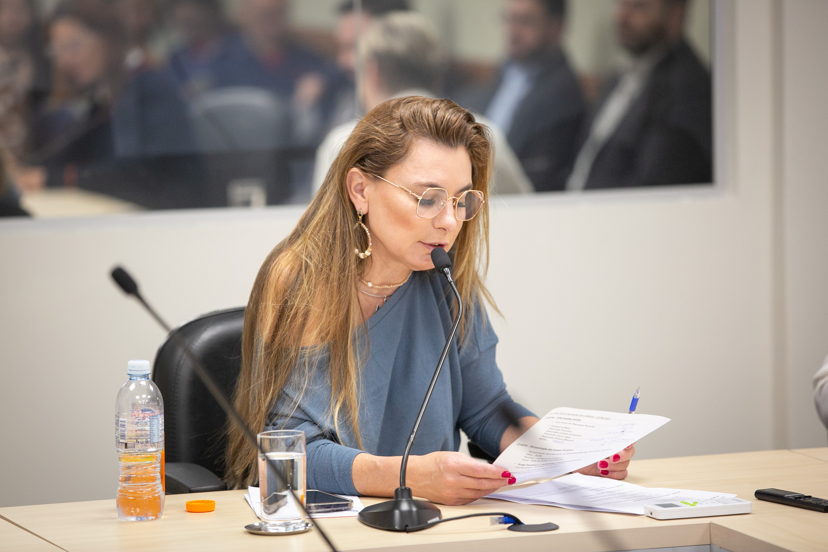 Reunião do COMSEG  - Deputada Paulinha (Podemos)