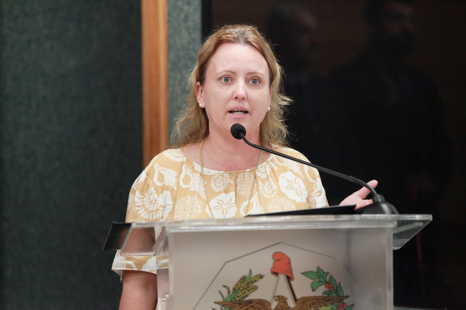 Seminário de Educação Ambiental - Janete Krueger