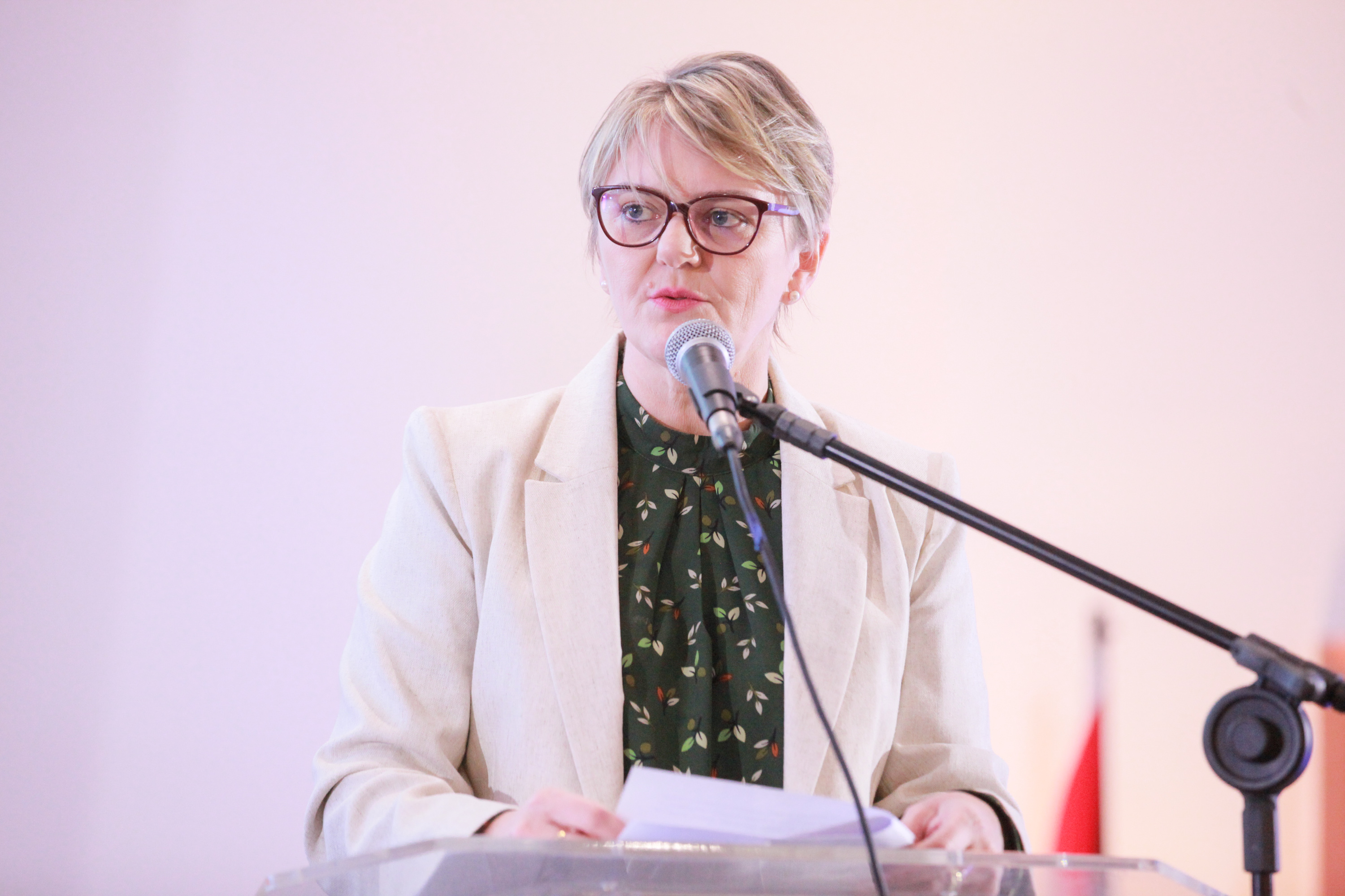 Lançamento da Frente Parlamentar em Defesa do Sistema Único de Assistência Social - SUAS - Deputada Luciane Carminatti (PT)