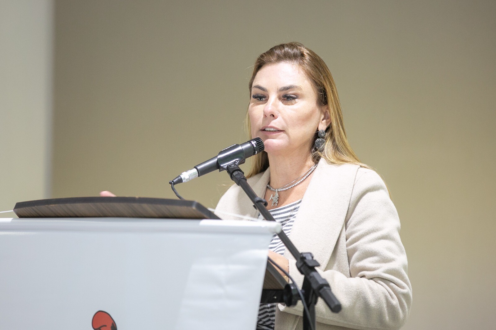 Deputada Paulinha na audiência do Comseg Escolar em Lages