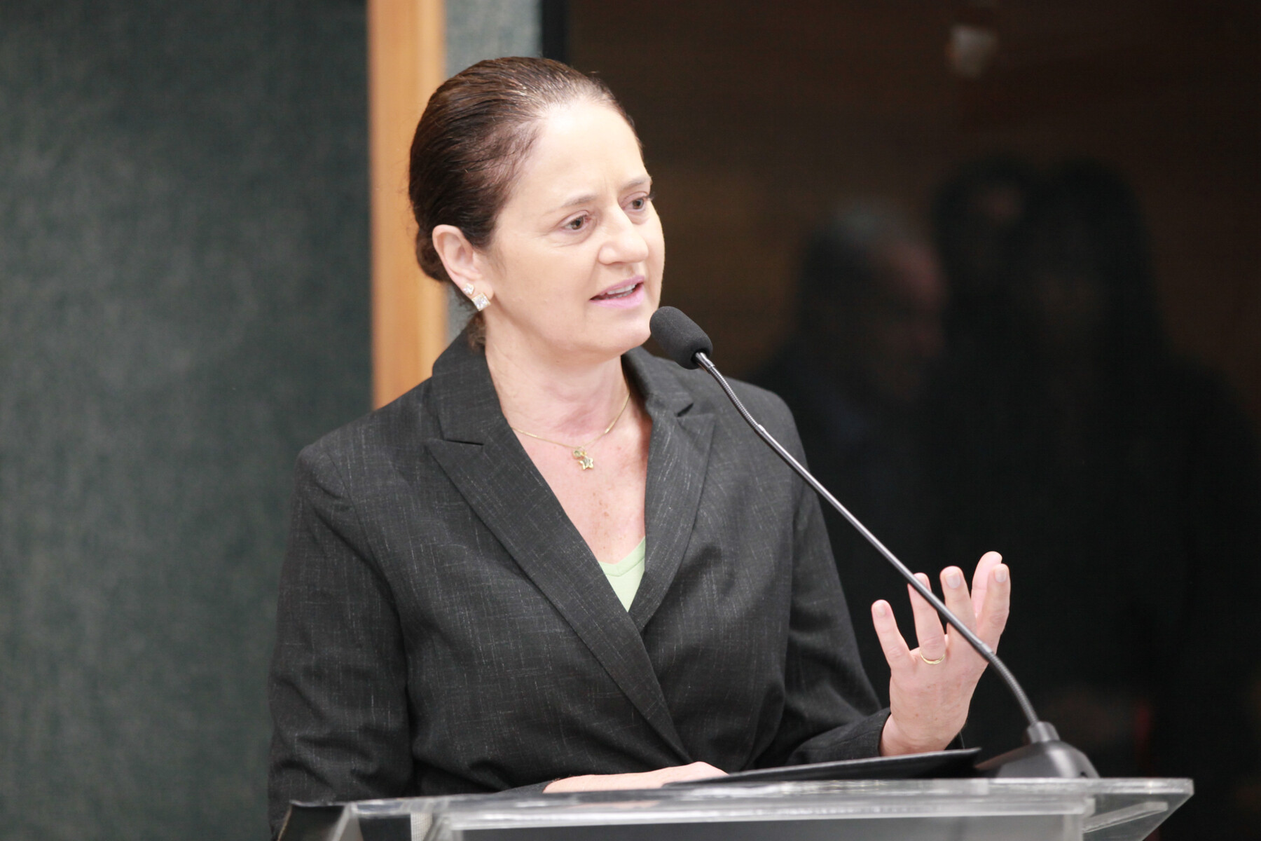 Seminário de Educação Ambiental apresenta debates alinhados aos objetivos da ONU