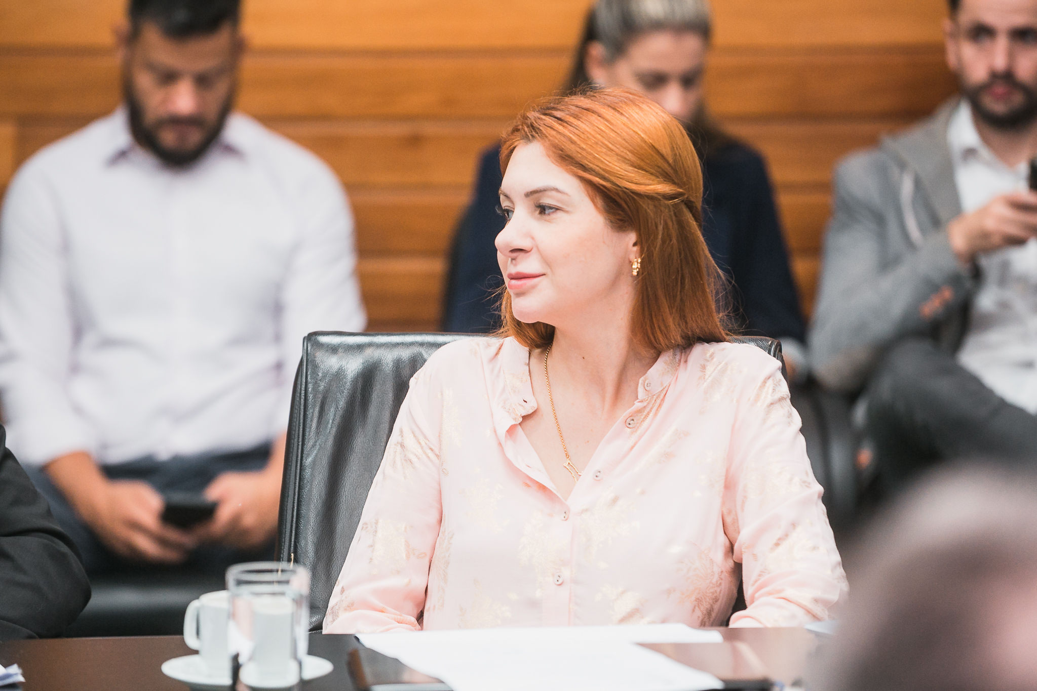 Comissão de Constituição e Justiça - Deputada Ana Caroline Campagnolo (PL)