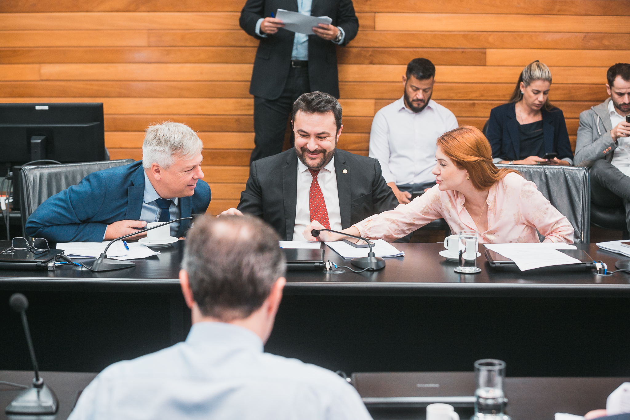 Comissão de Constituição e Justiça