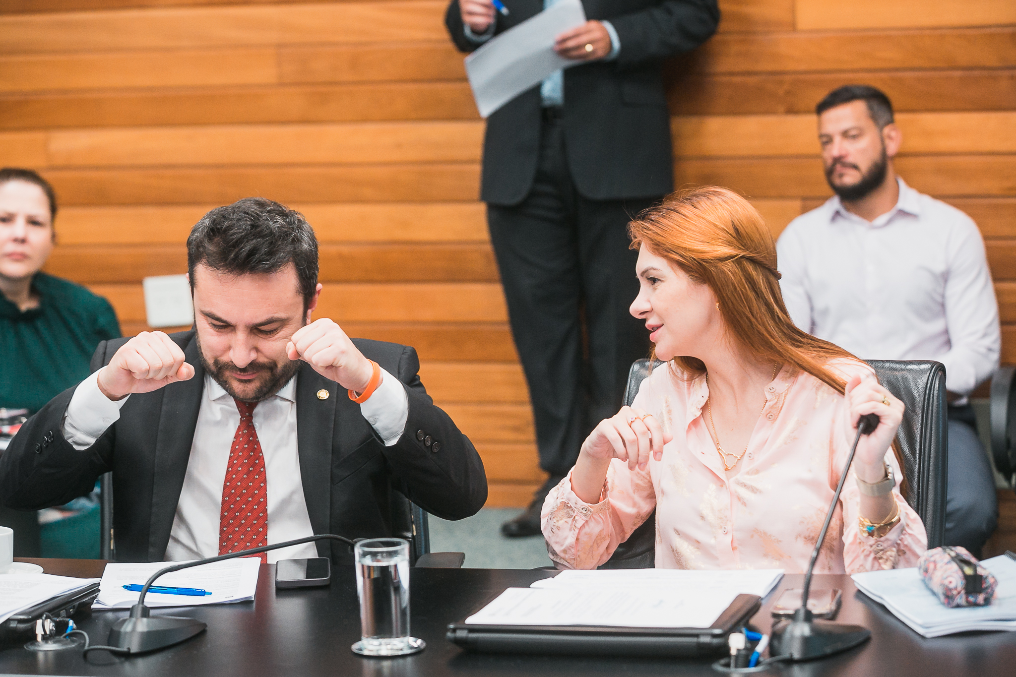 Comissão de Constituição e Justiça