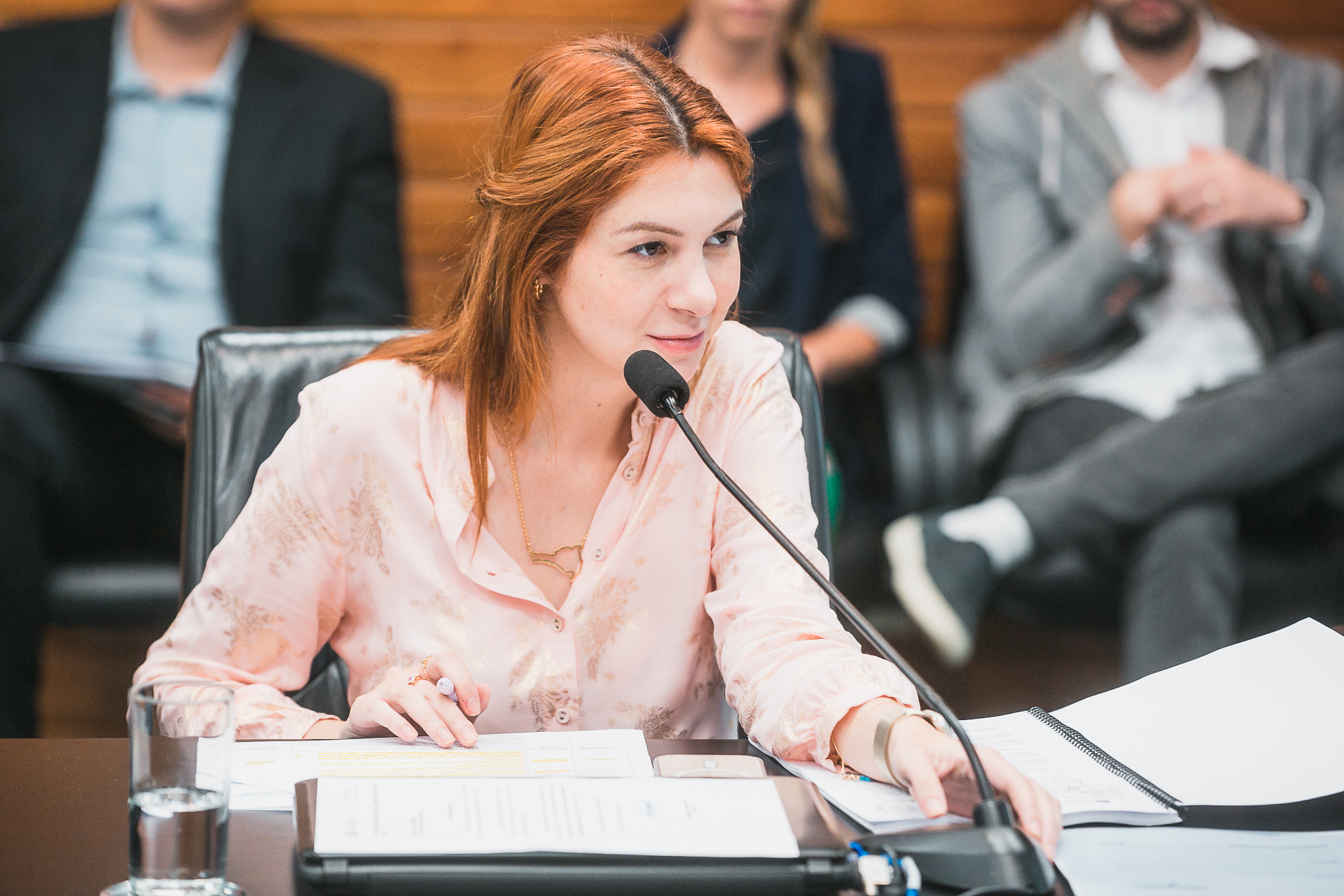 Comissão de Constituição e Justiça- Deputada Ana Caroline Campagnolo (PL)
