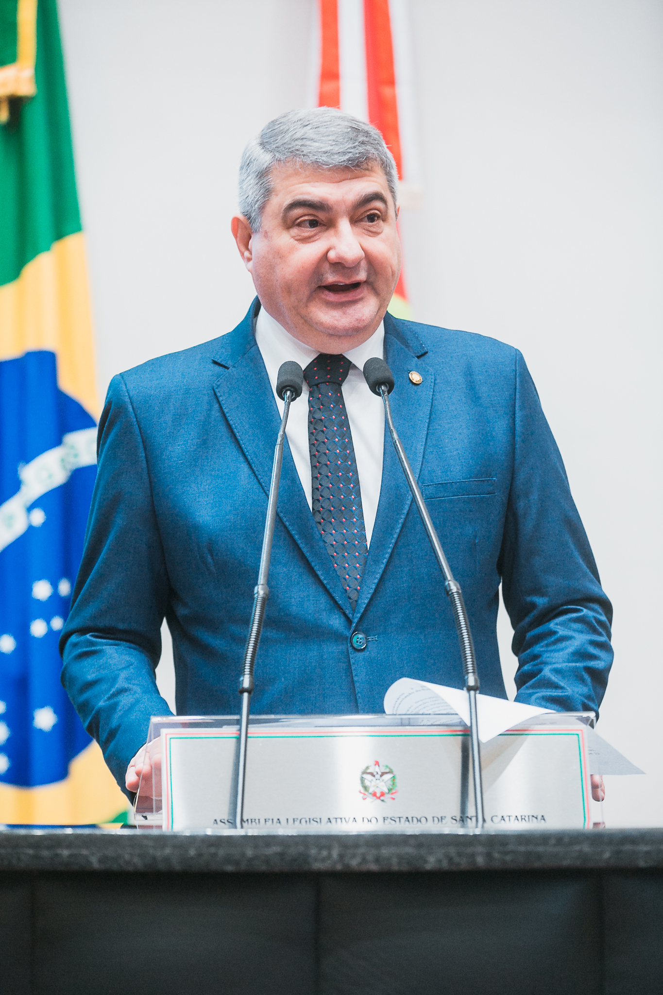 SESSÃO ORDINÁRIA - Deputado Antídio Lunelli (MDB)