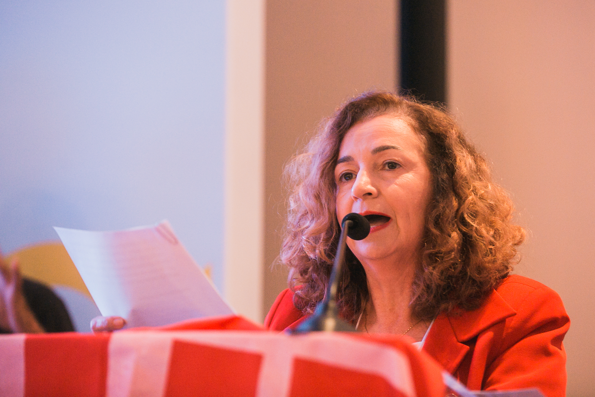 Plenária Estadual do PPA Participativo
