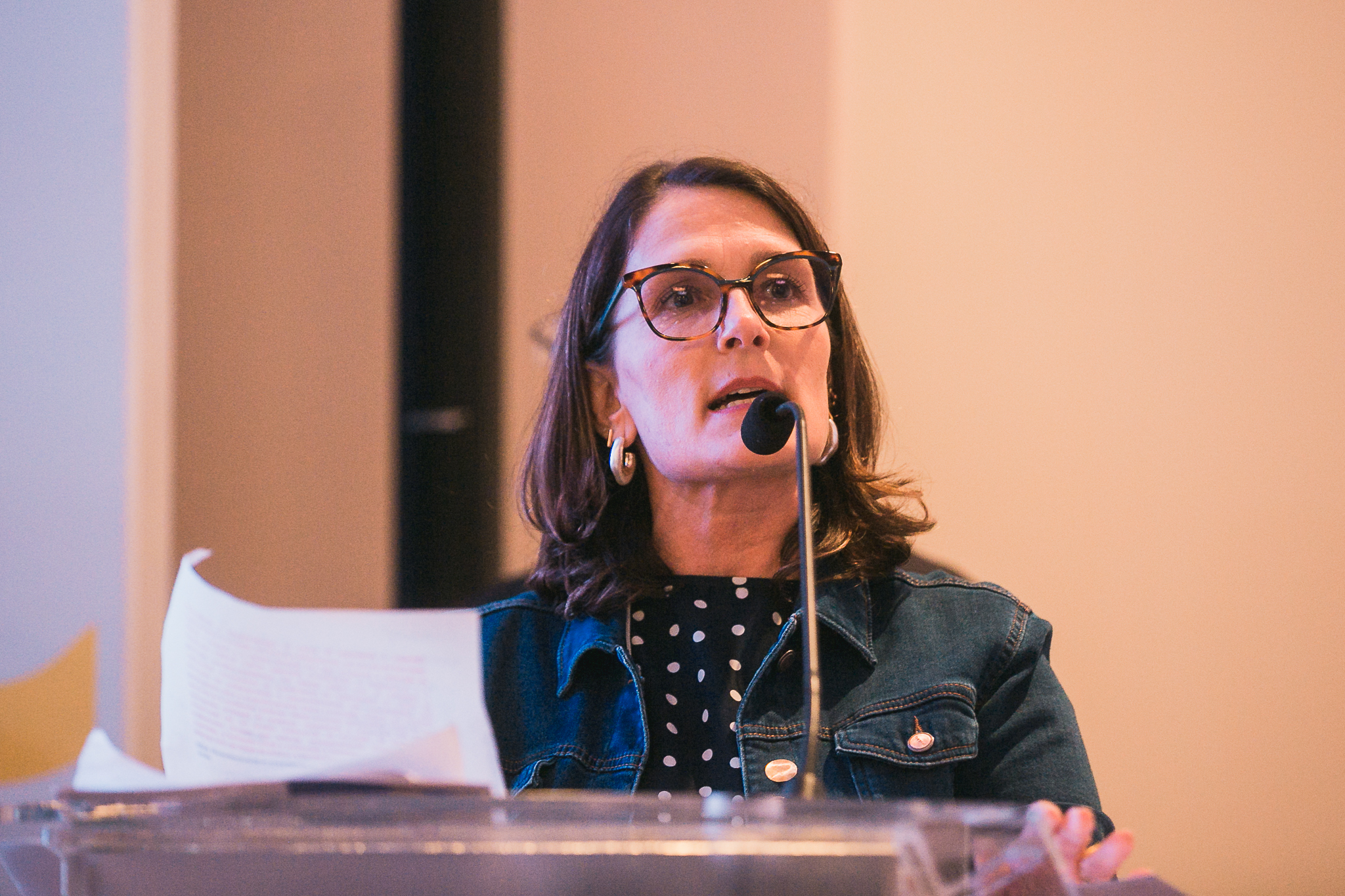 Plenária Estadual do PPA Participativo