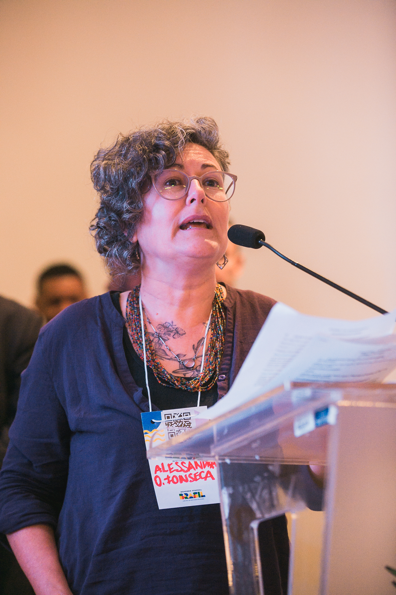 Plenária Estadual do PPA Participativo