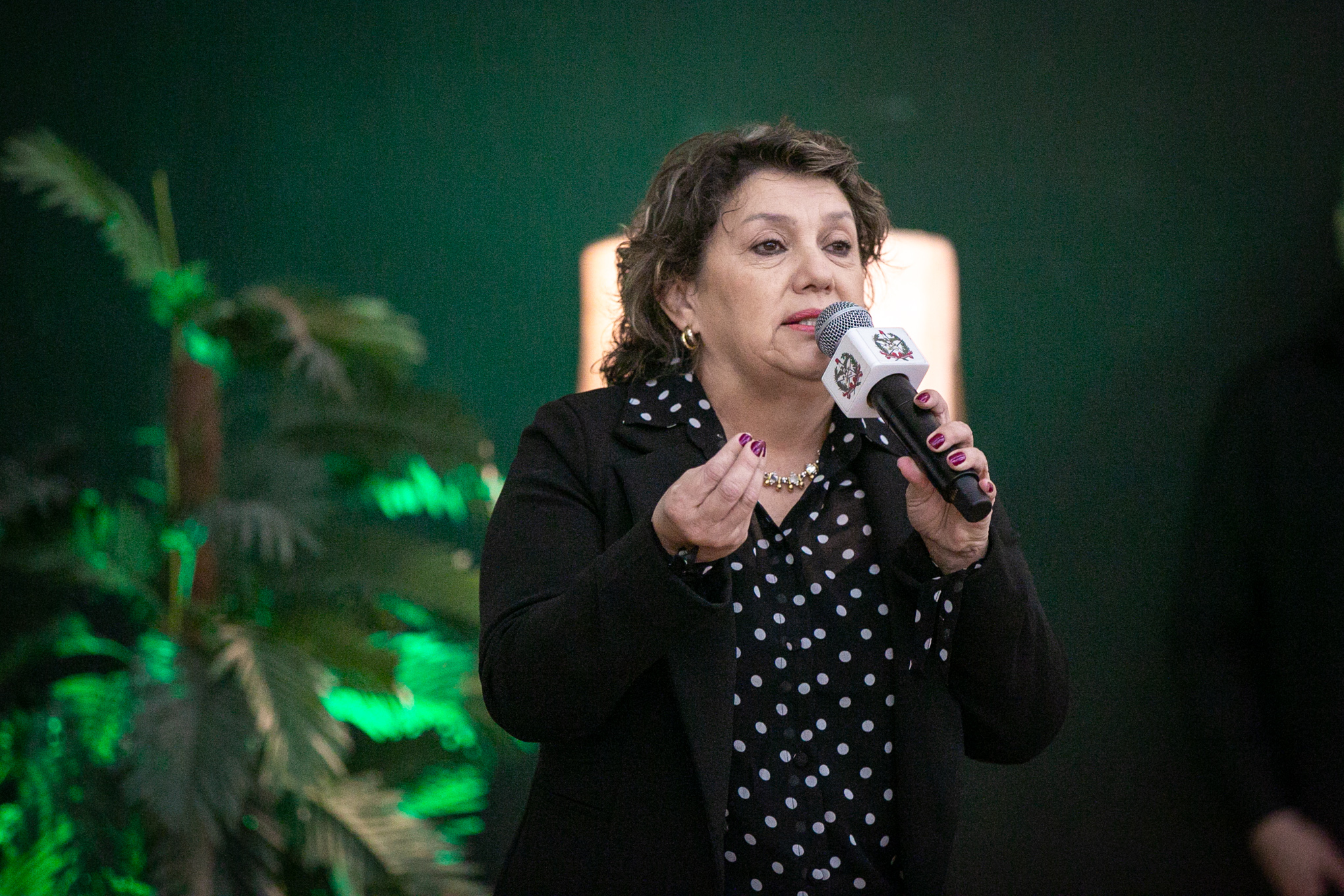 I Seminário Municipal de Educação Especial na Perspectiva da Educação Inclusiva