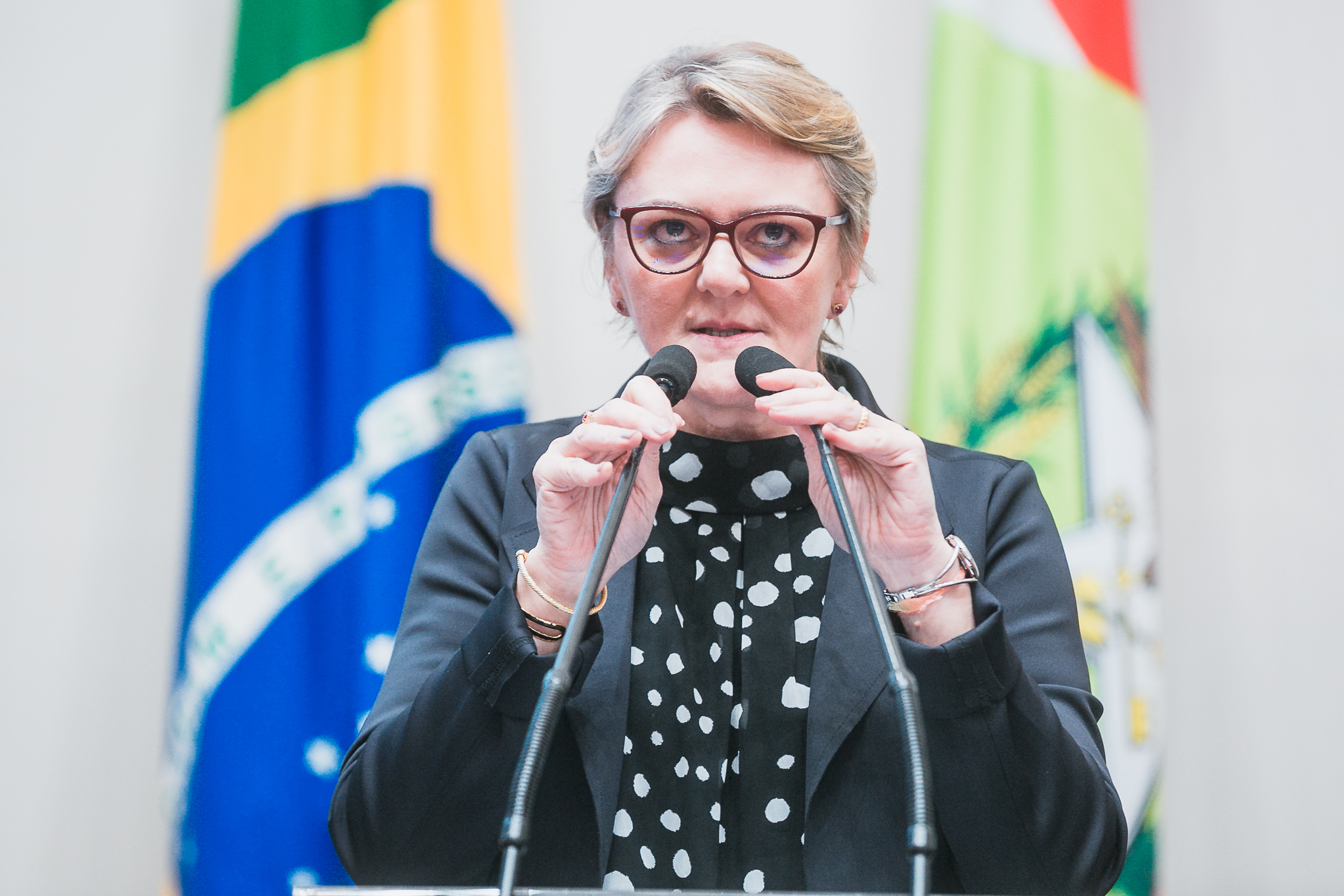 SESSÃO ORDINÁRIA - Parte 2 - Deputada Luciane Carminatti (PT)