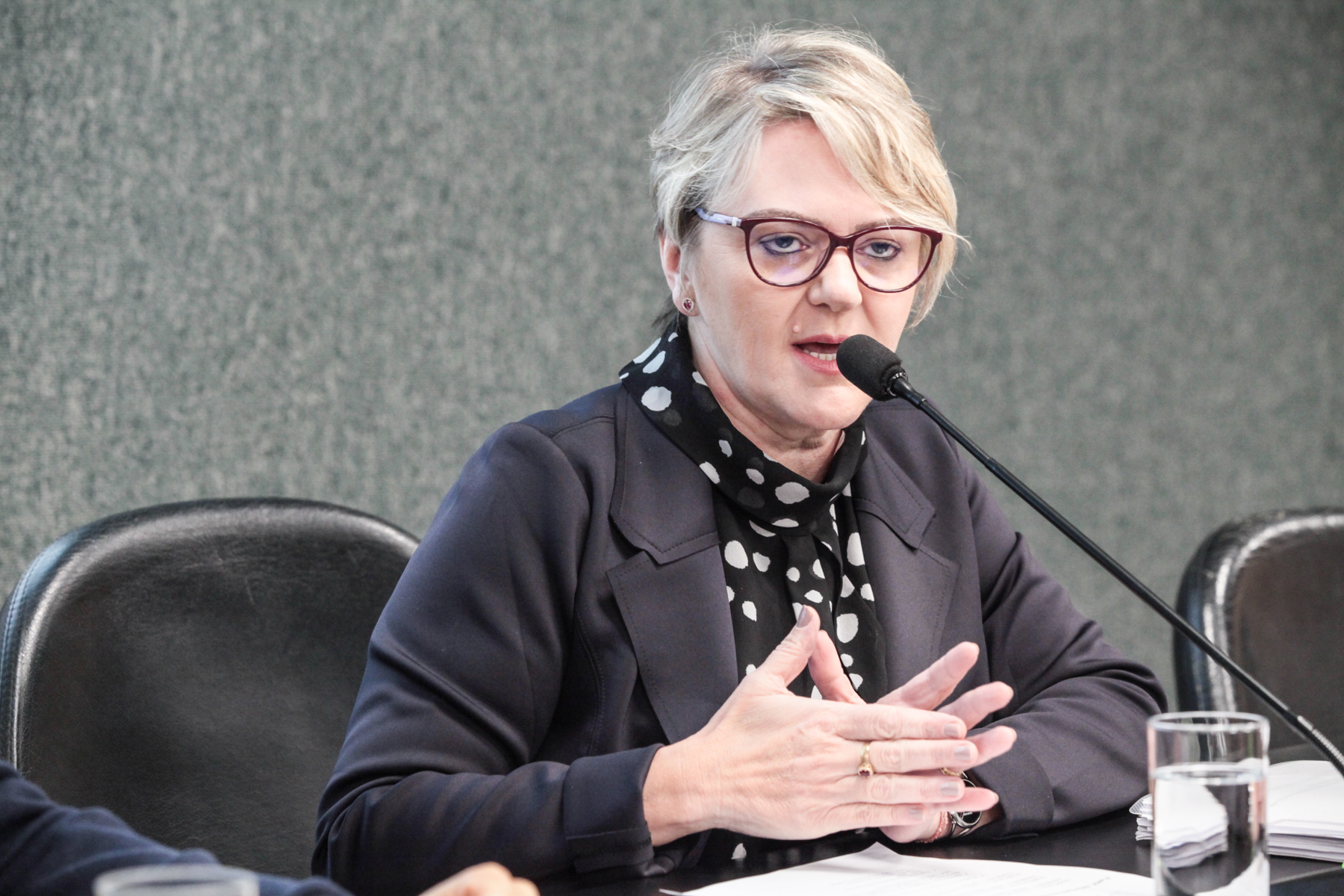 Reunião do Comseg - Deputada Luciane Carminatti (PT)