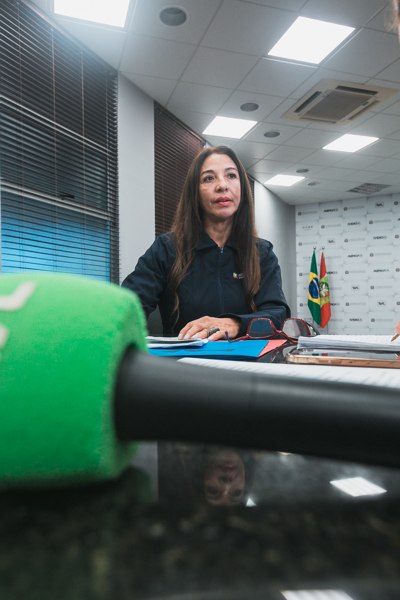 Entrevista dos 10 anos Alesc Inclusiva