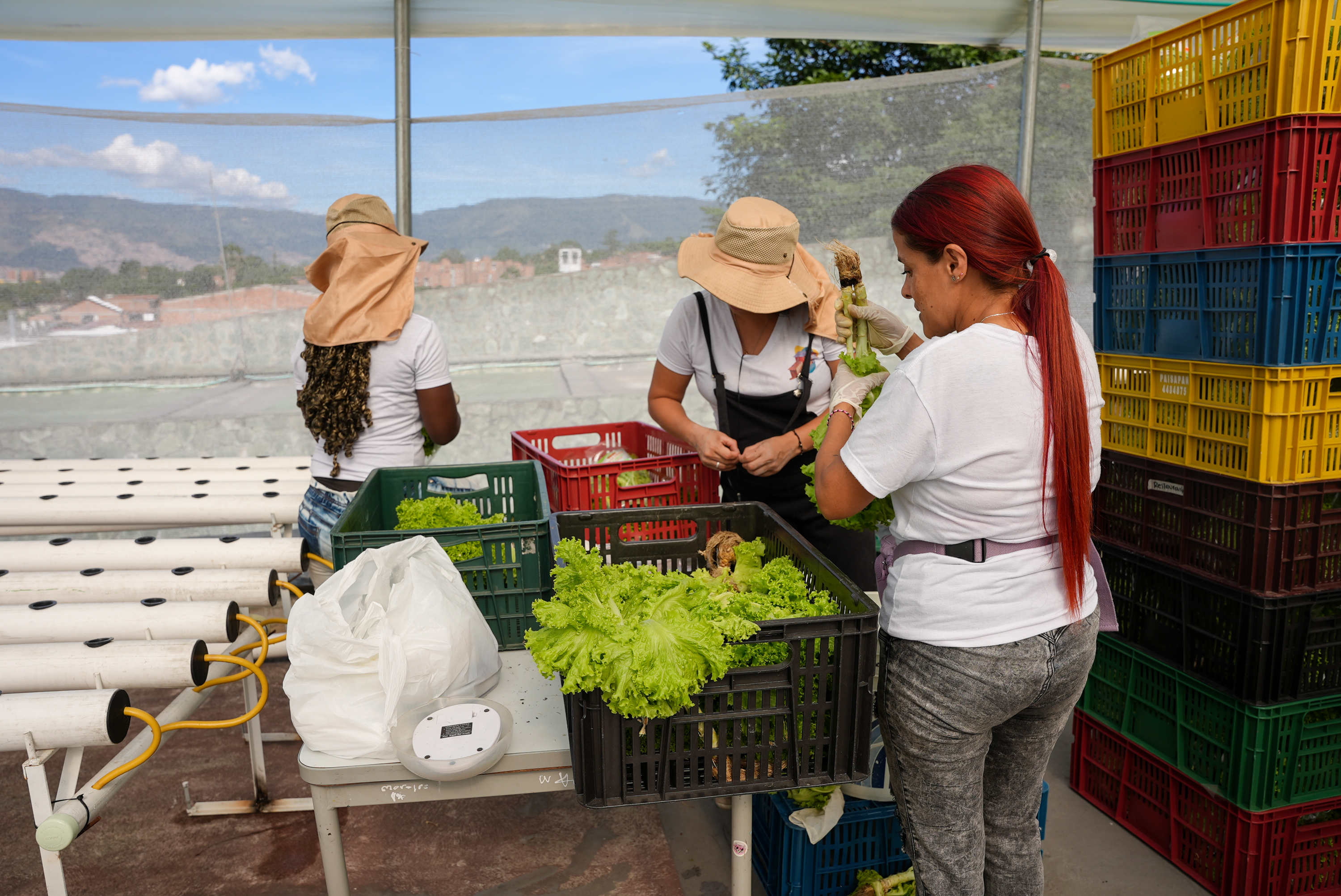 COMSEG - Visita a Medellín