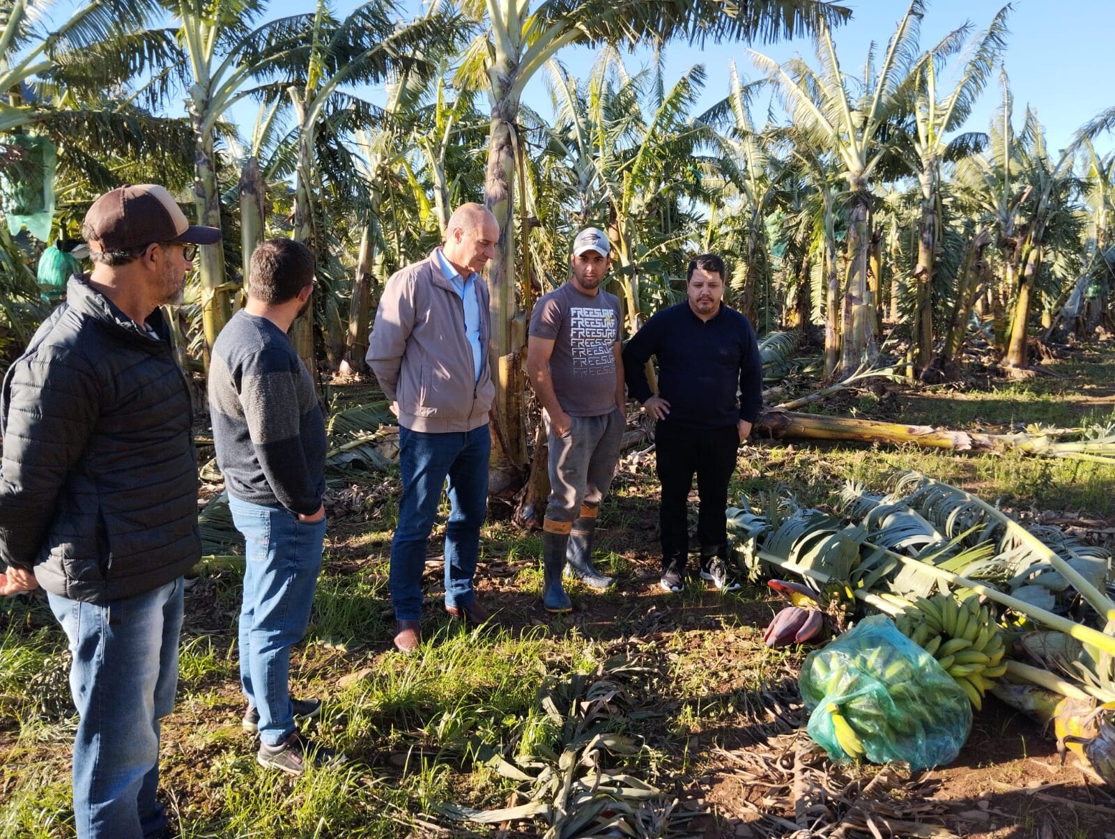 Deputado José Milton Scheffer e bananicultores do extremo sul de SC