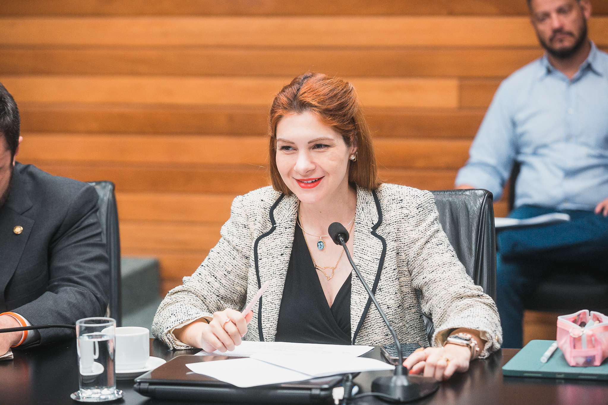 Comissão de Constituição e Justiça - Deputada Ana Caroline Campagnolo (PL)