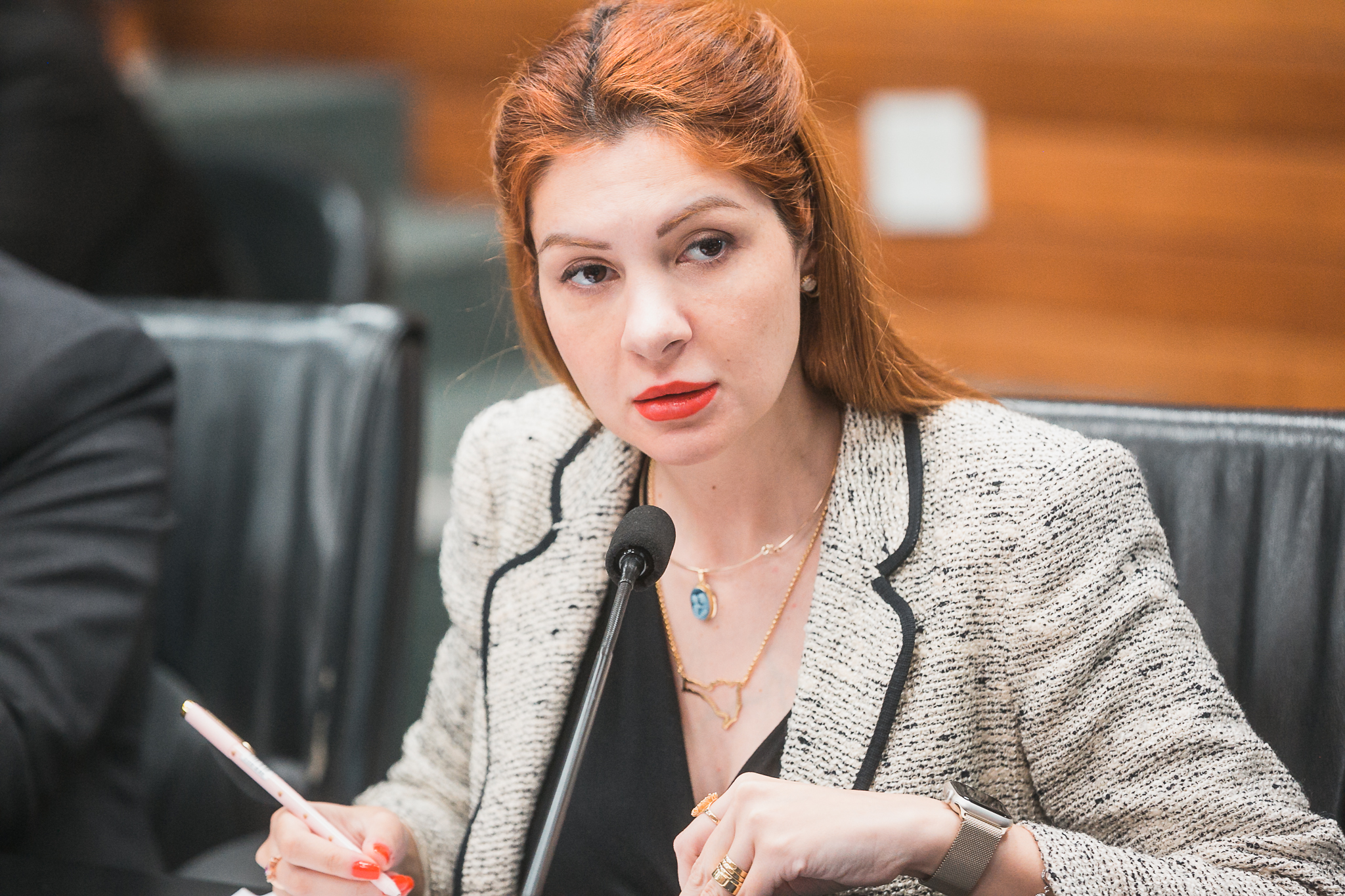 Comissão de Constituição e Justiça - Deputada Ana Caroline Campagnolo (PL)