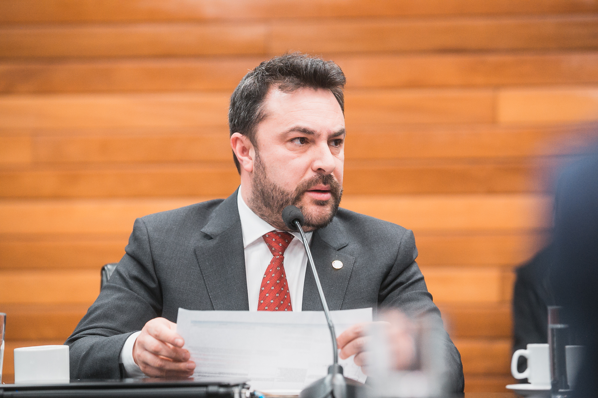 Comissão de Constituição e Justiça - Deputado Marcius Machado (PL)