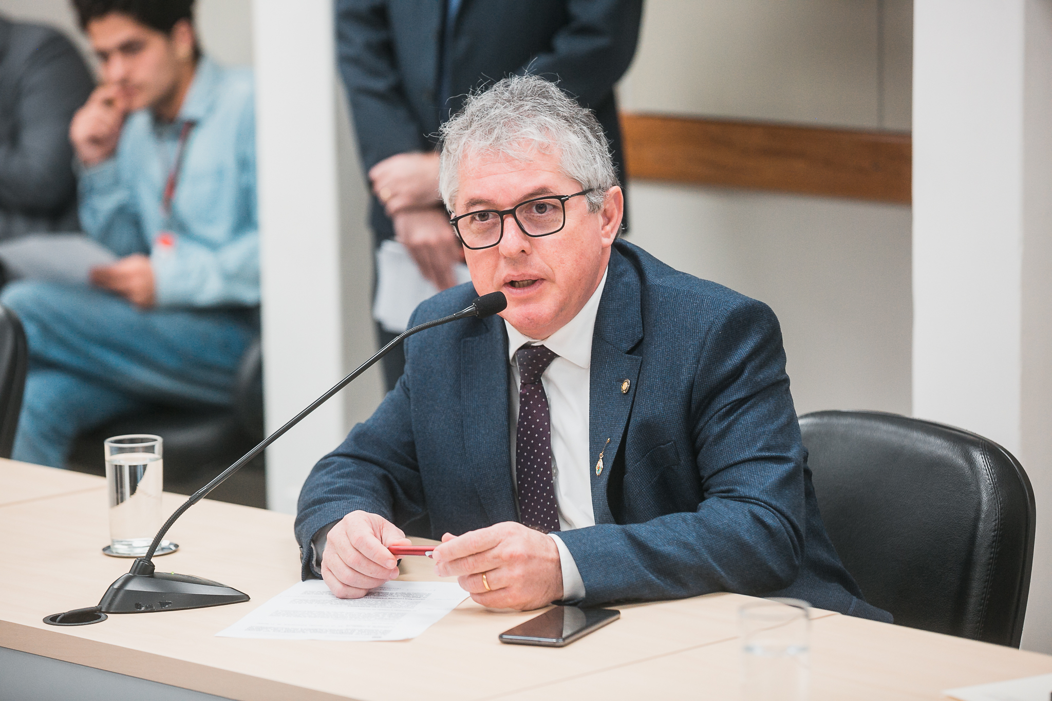 Comissão de Segurança Pública - Deputado Tiago Zilli (MDB)