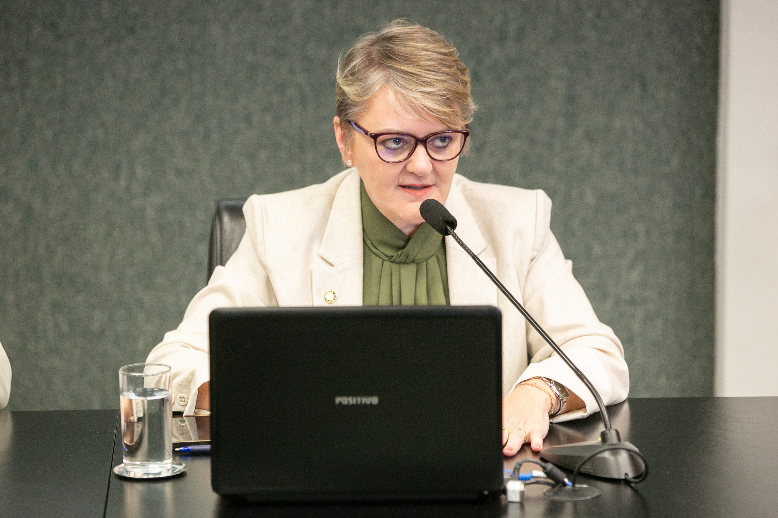 Comissão de Educação, Cultura e Desporto - Deputada Luciane Carminatti (PT)
