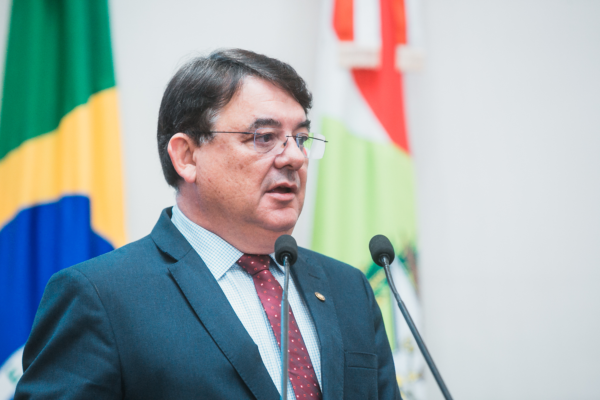 SESSÃO ORDINÁRIA - Deputado Mauricio Peixer (PL)