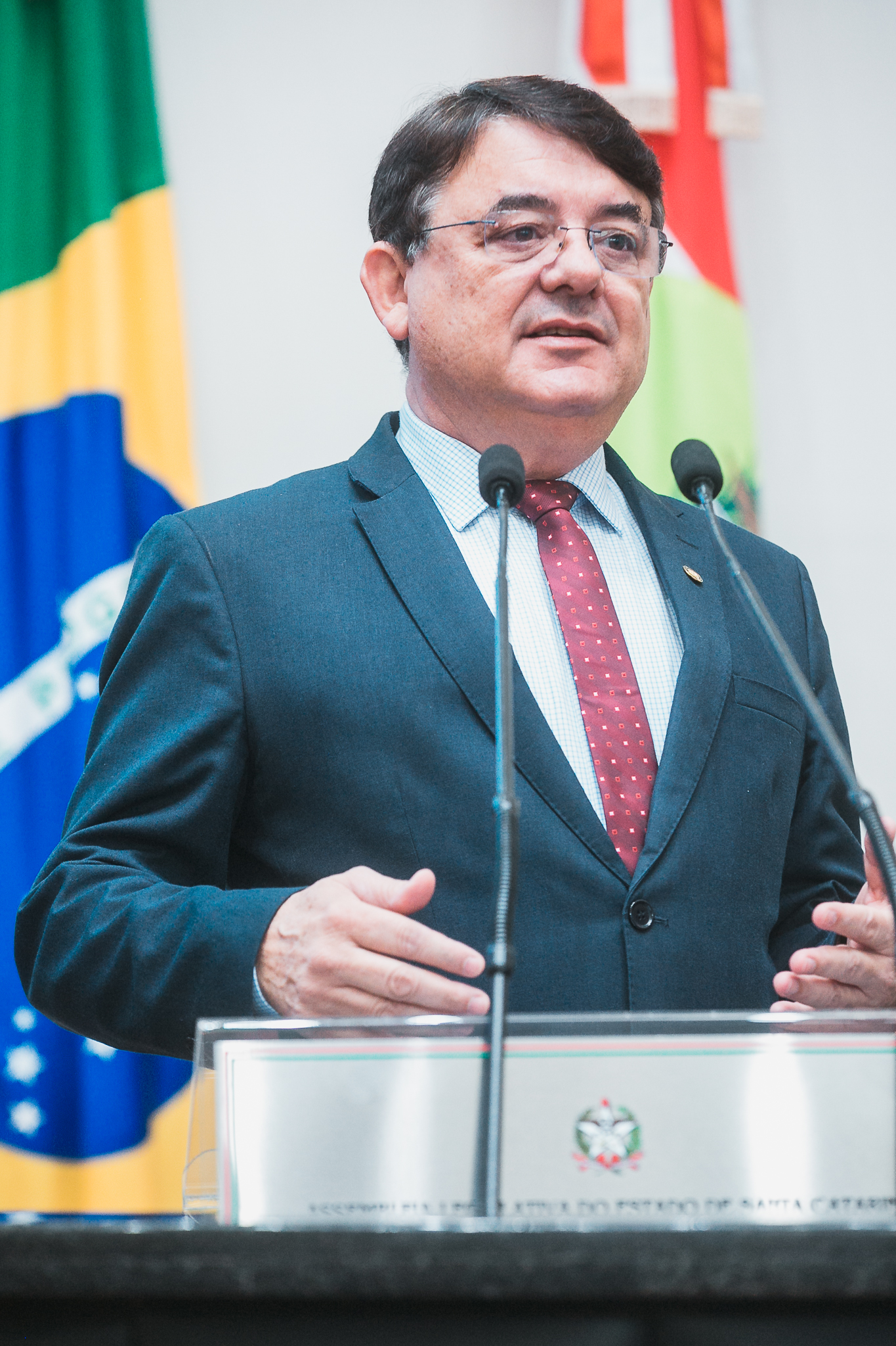 SESSÃO ORDINÁRIA - Deputado Mauricio Peixer (PL)