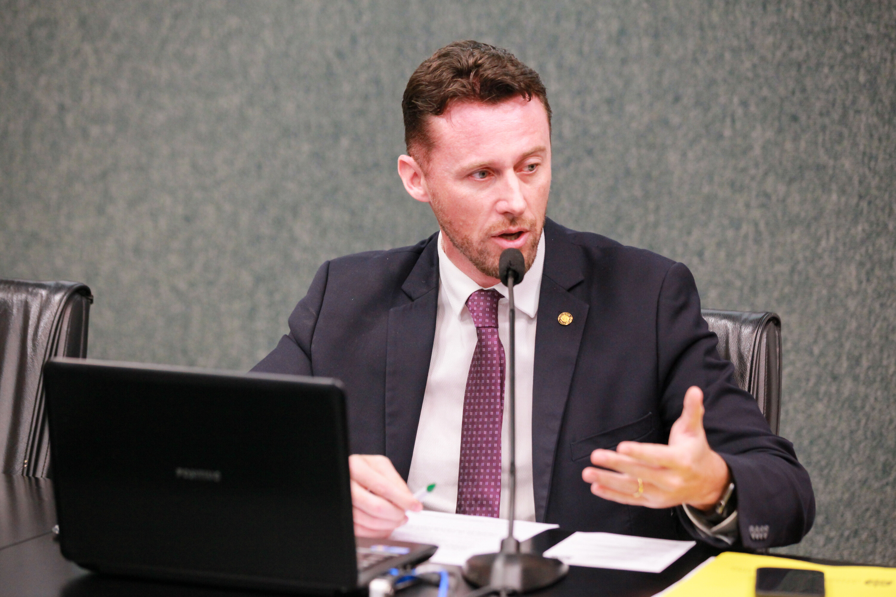 Deputado Fernando Krelling