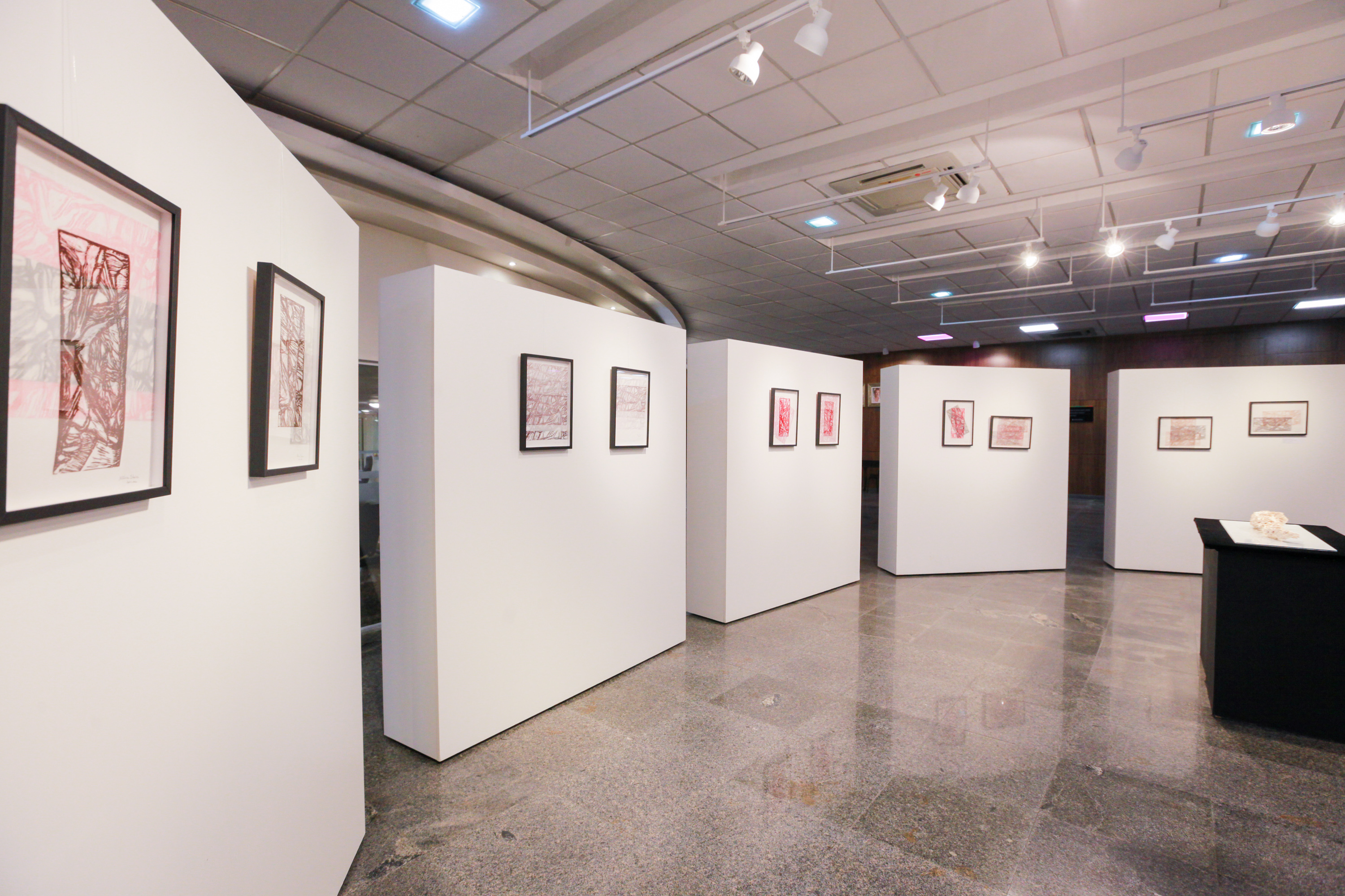 Abertura da exposição 