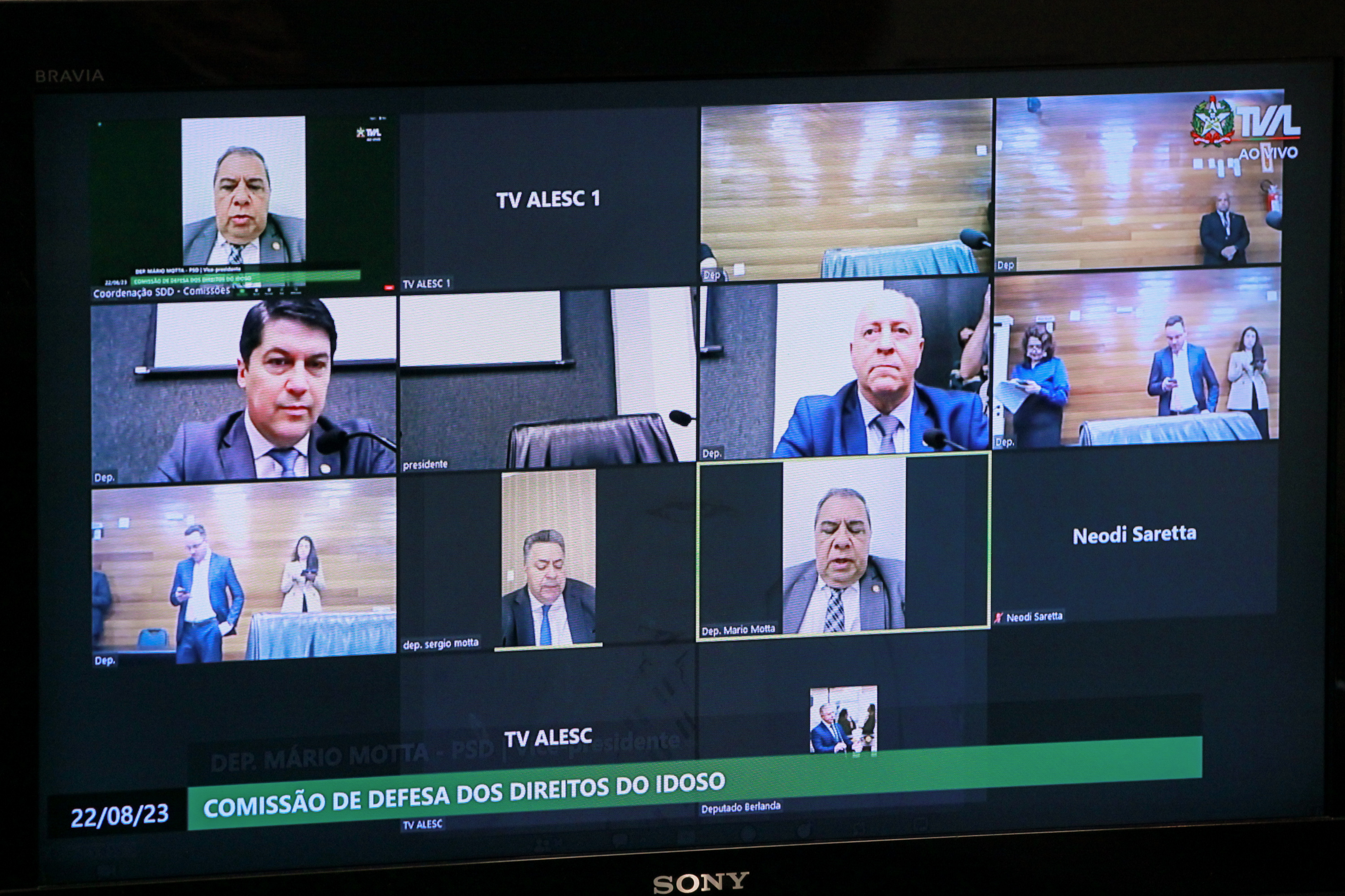 Comissão de Defesa dos Direitos do Idoso