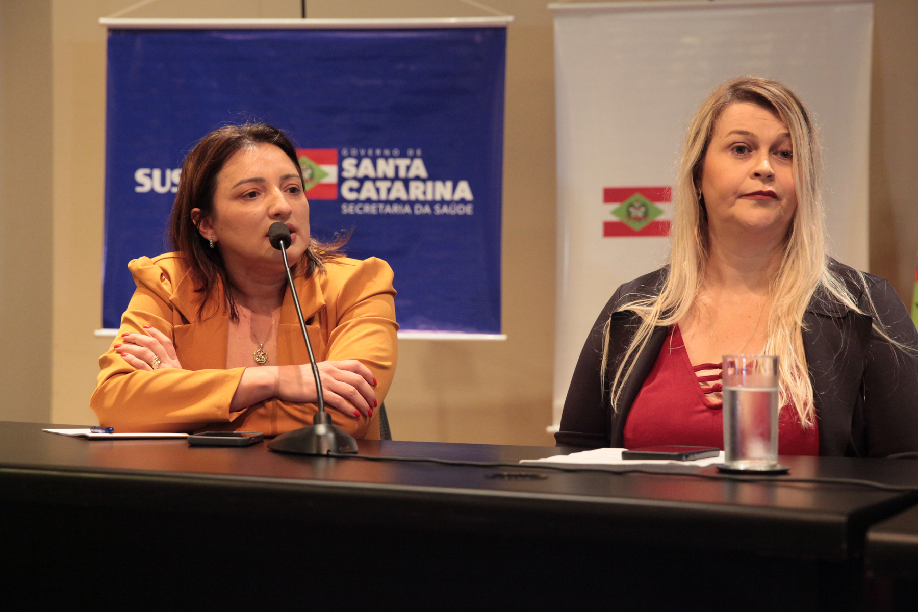 Seminário de Atenção a Saúde das Pessoas com Doenças Raras.
