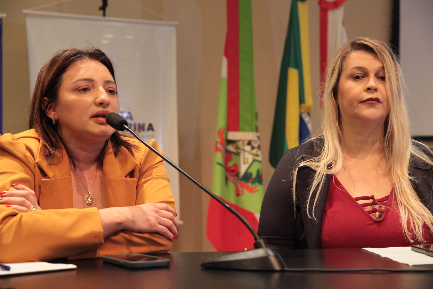 Seminário de Atenção a Saúde das Pessoas com Doenças Raras.