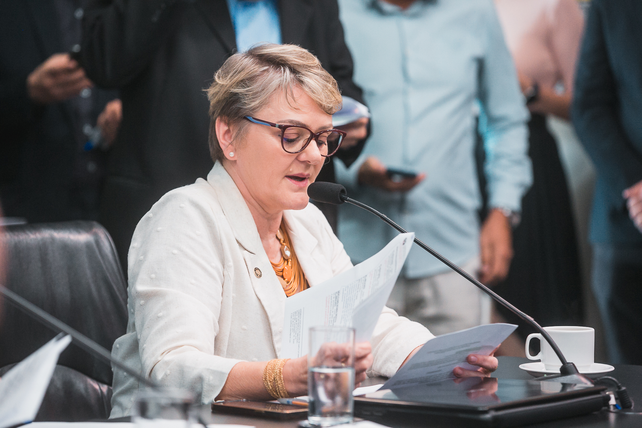 Comissão de Finanças e Tributação - Deputada Luciane Carminatti (PT)