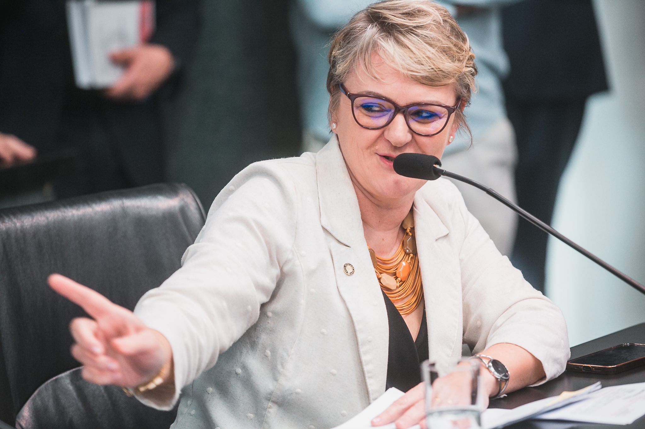 Comissão de Finanças e Tributação - Deputada Luciane Carminatti (PT)
