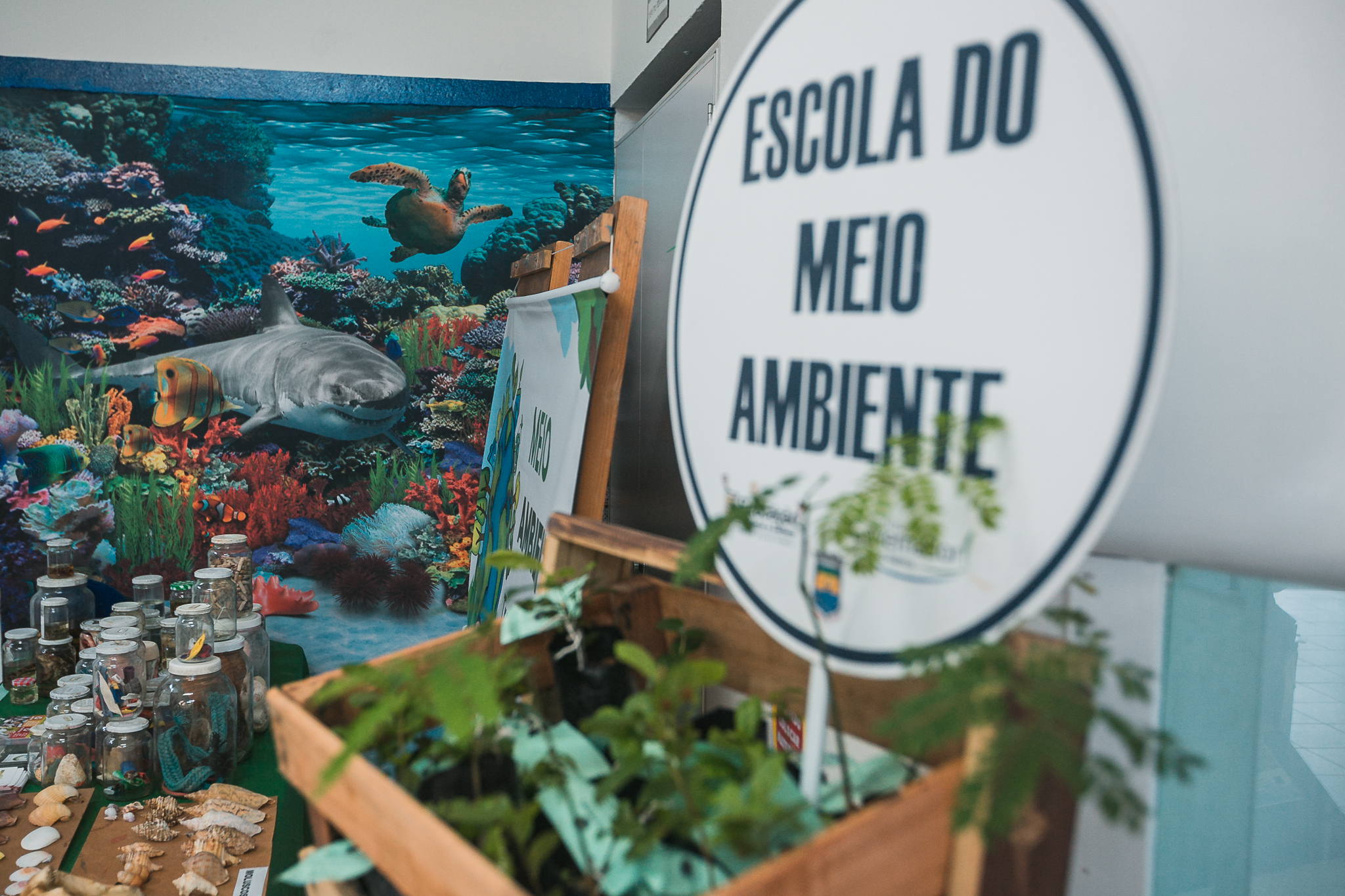 Audiência Pública - A importância de fomento das escolas do mar - São José