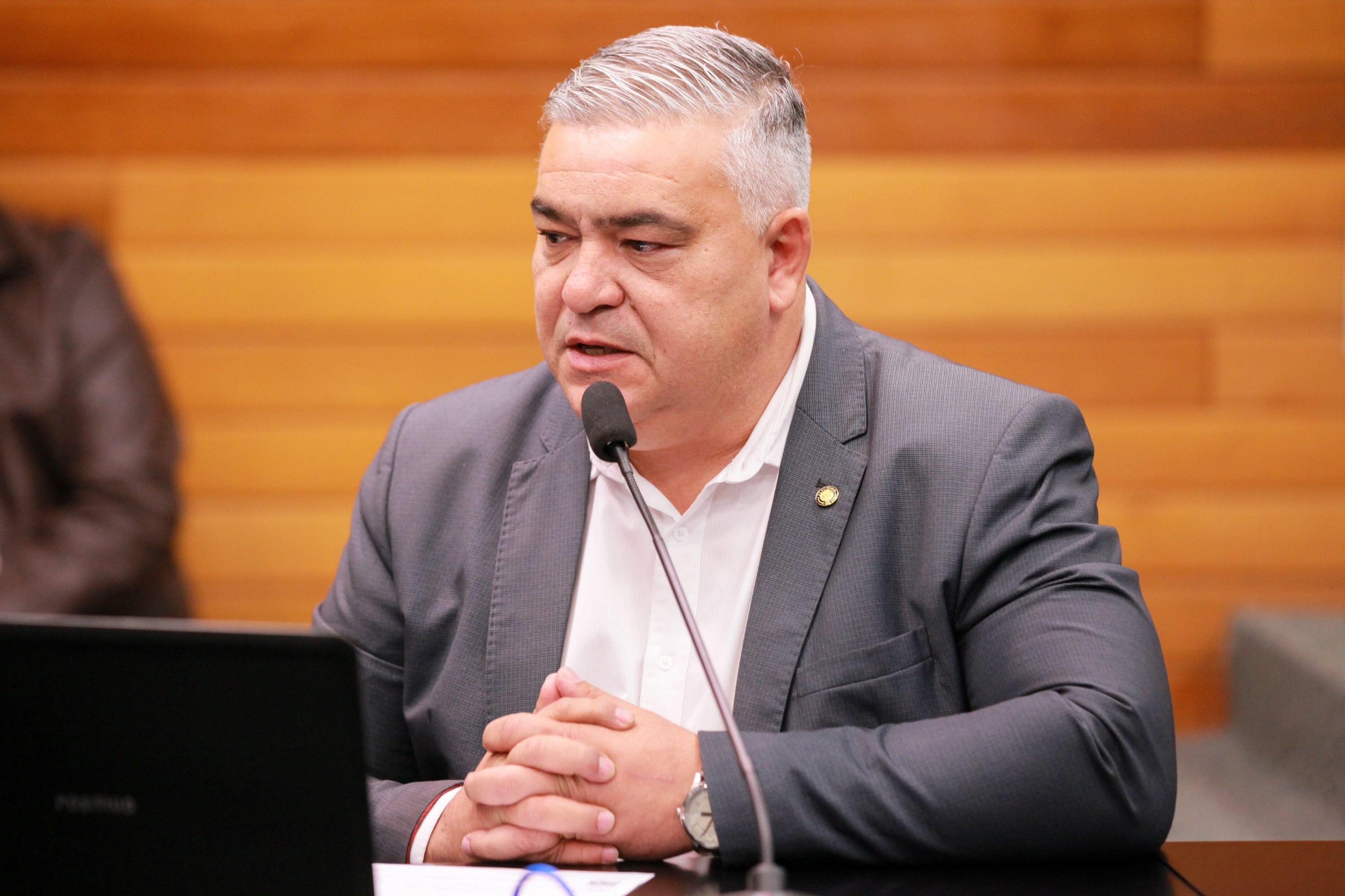 Comissão de Seguança Pública - Deputado Sargento Lima (PL)