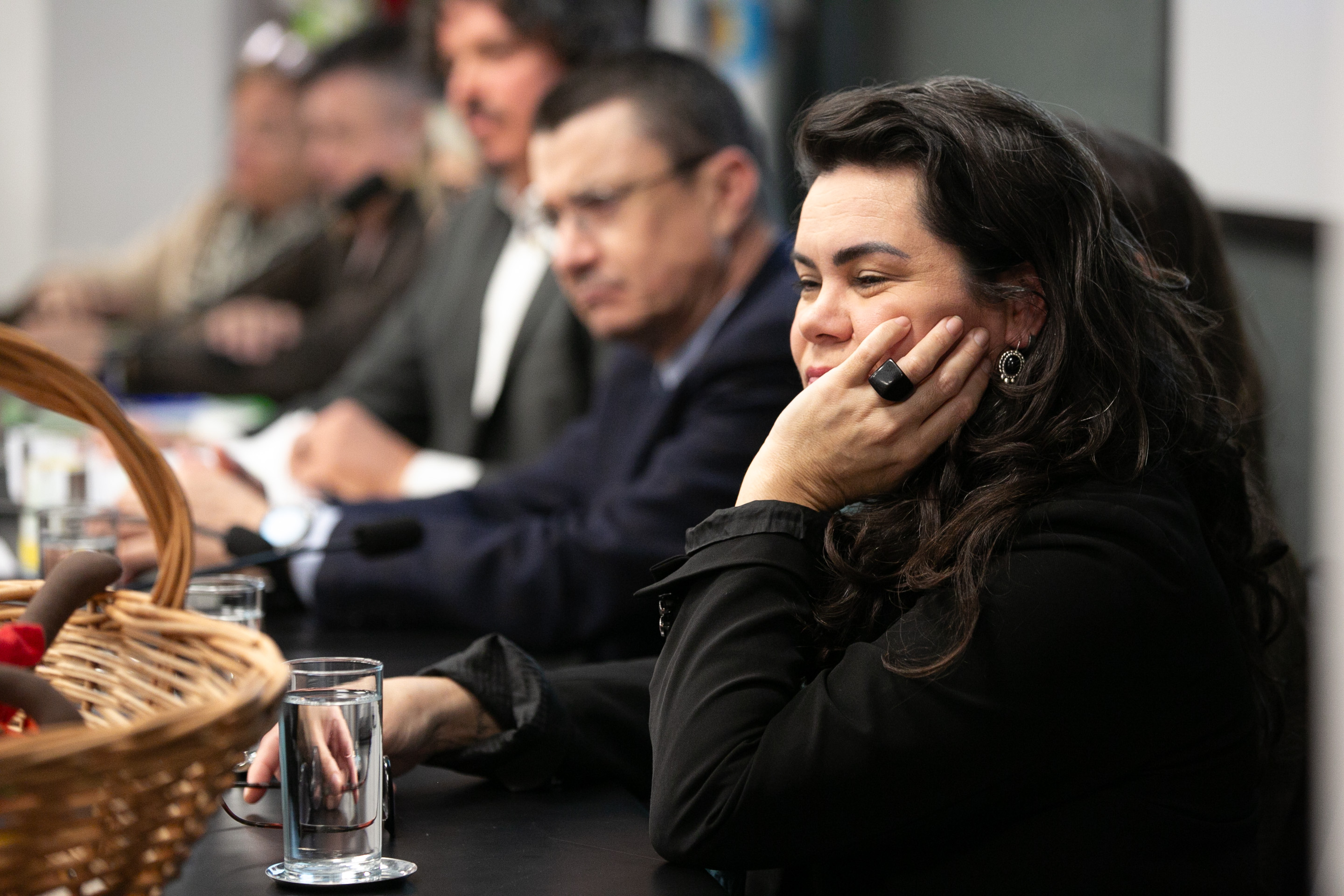 Lançamento da Frente Parlamentar da Primeira Infância
