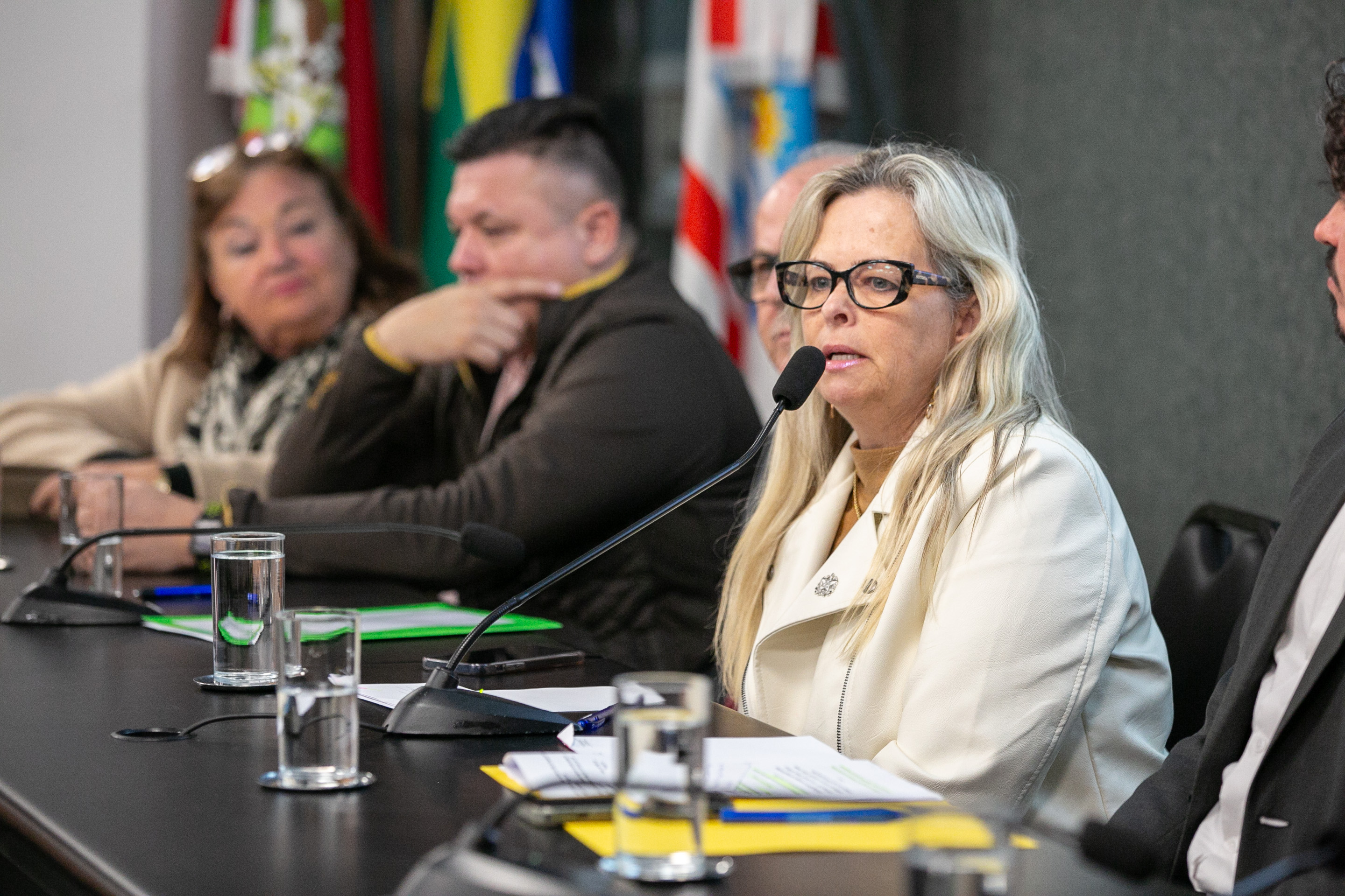 Lançamento da Frente Parlamentar da Primeira Infância