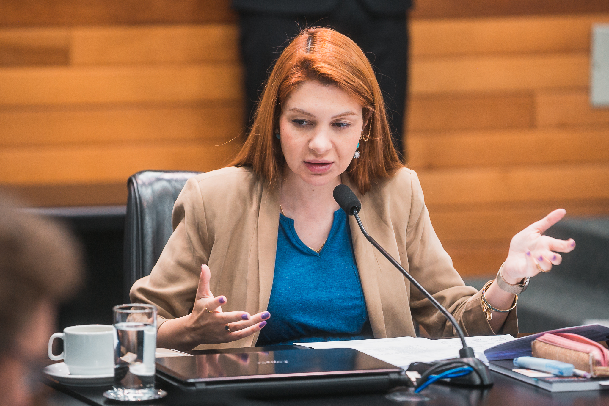 Comissão de Constituição e Justiça - Deputada Ana Campagnolo (PL)