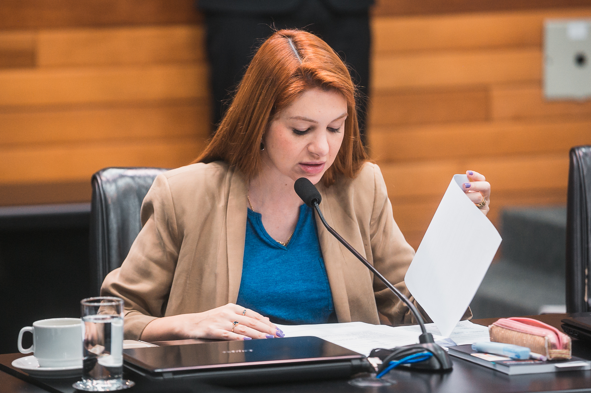 Comissão de Constituição e Justiça - Deputada Ana Campagnolo (PL)