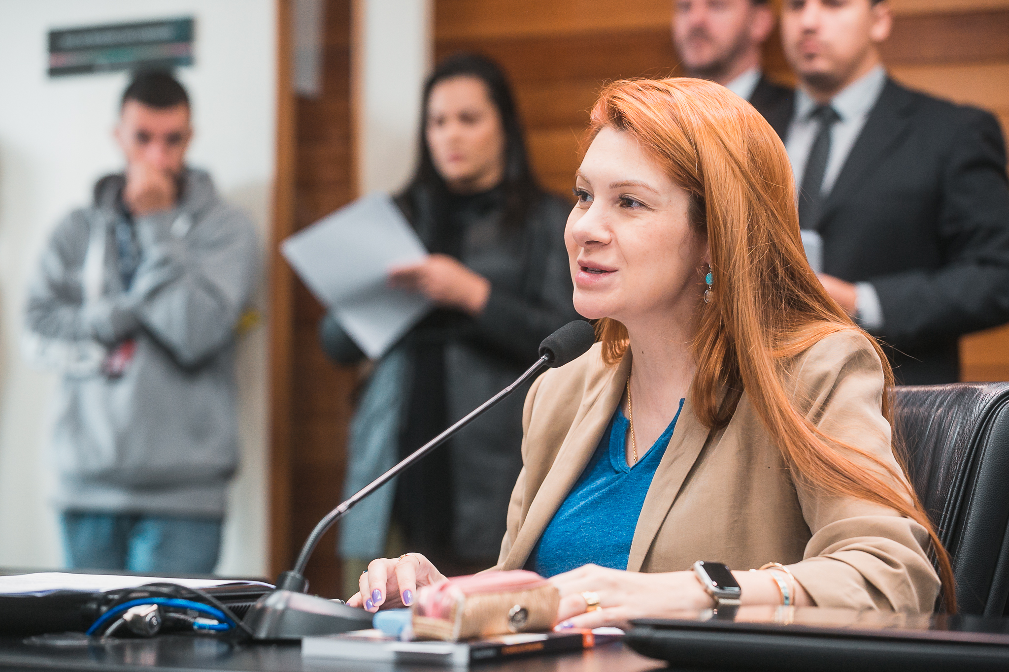 Comissão de Constituição e Justiça