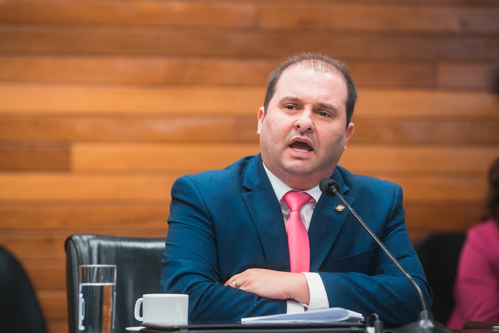 Comissão de Constituição e Justiça - Deputado Repórter Sérgio Guimarães(União)