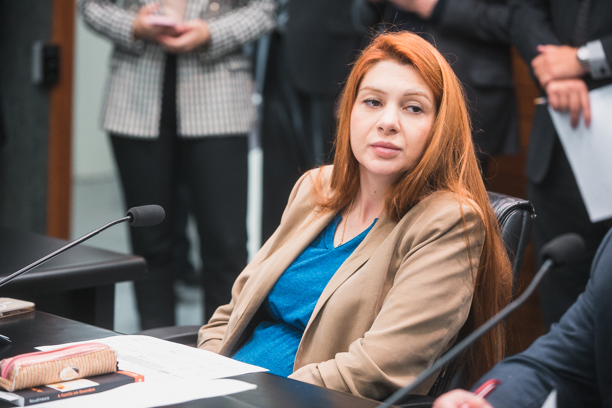Comissão de Constituição e Justiça - Deputada Ana Campagnolo (PL)