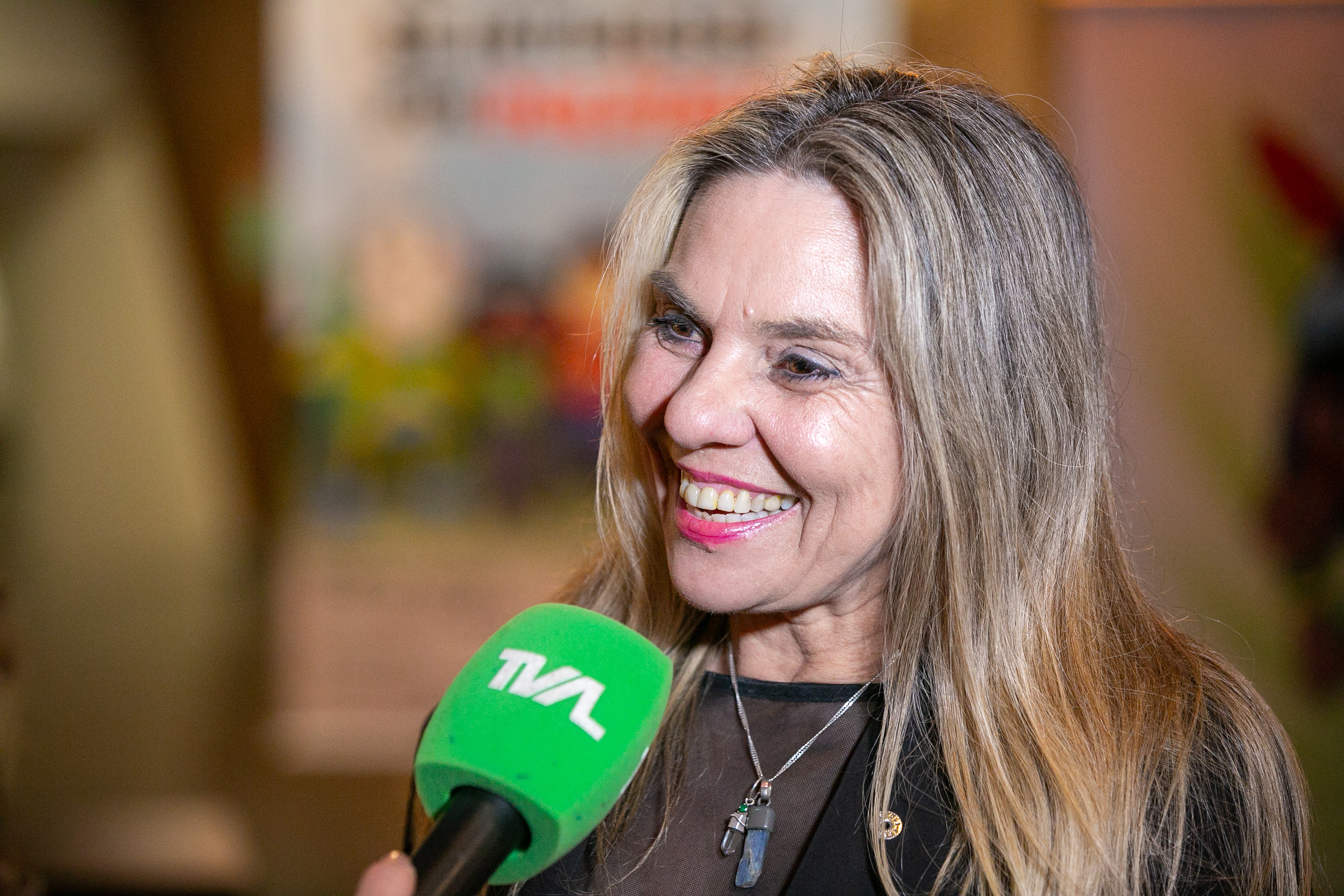 LANÇAMENTO LITERÁRIO - 