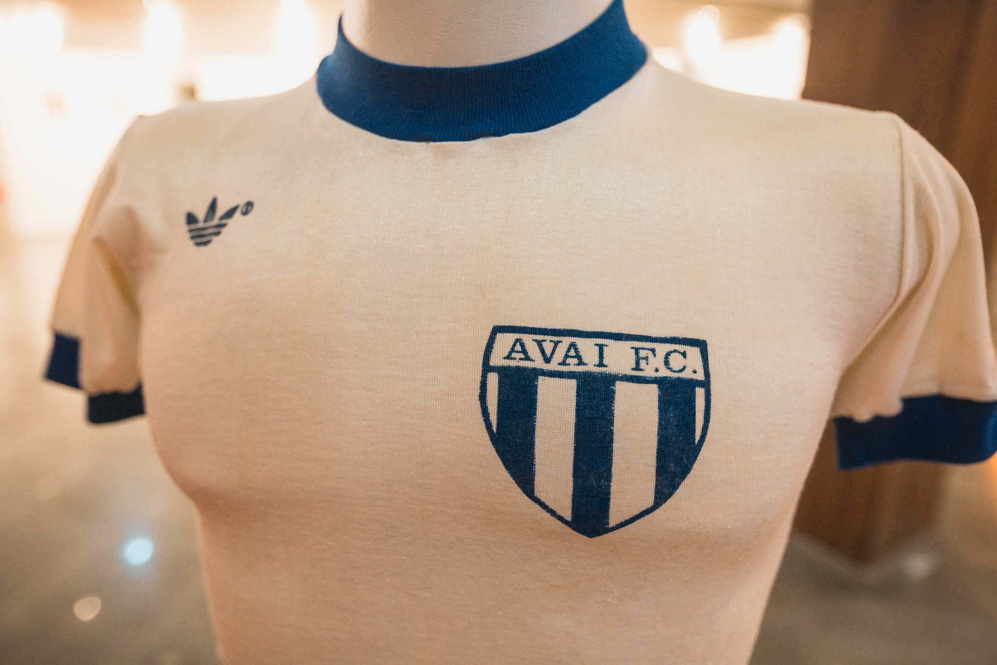 Sessão Especial em Homenagem ao Centenário do Avaí Futebol Clube