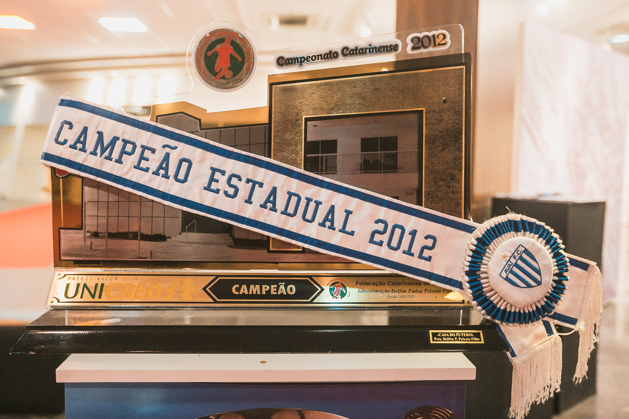Sessão Especial em Homenagem ao Centenário do Avaí Futebol Clube